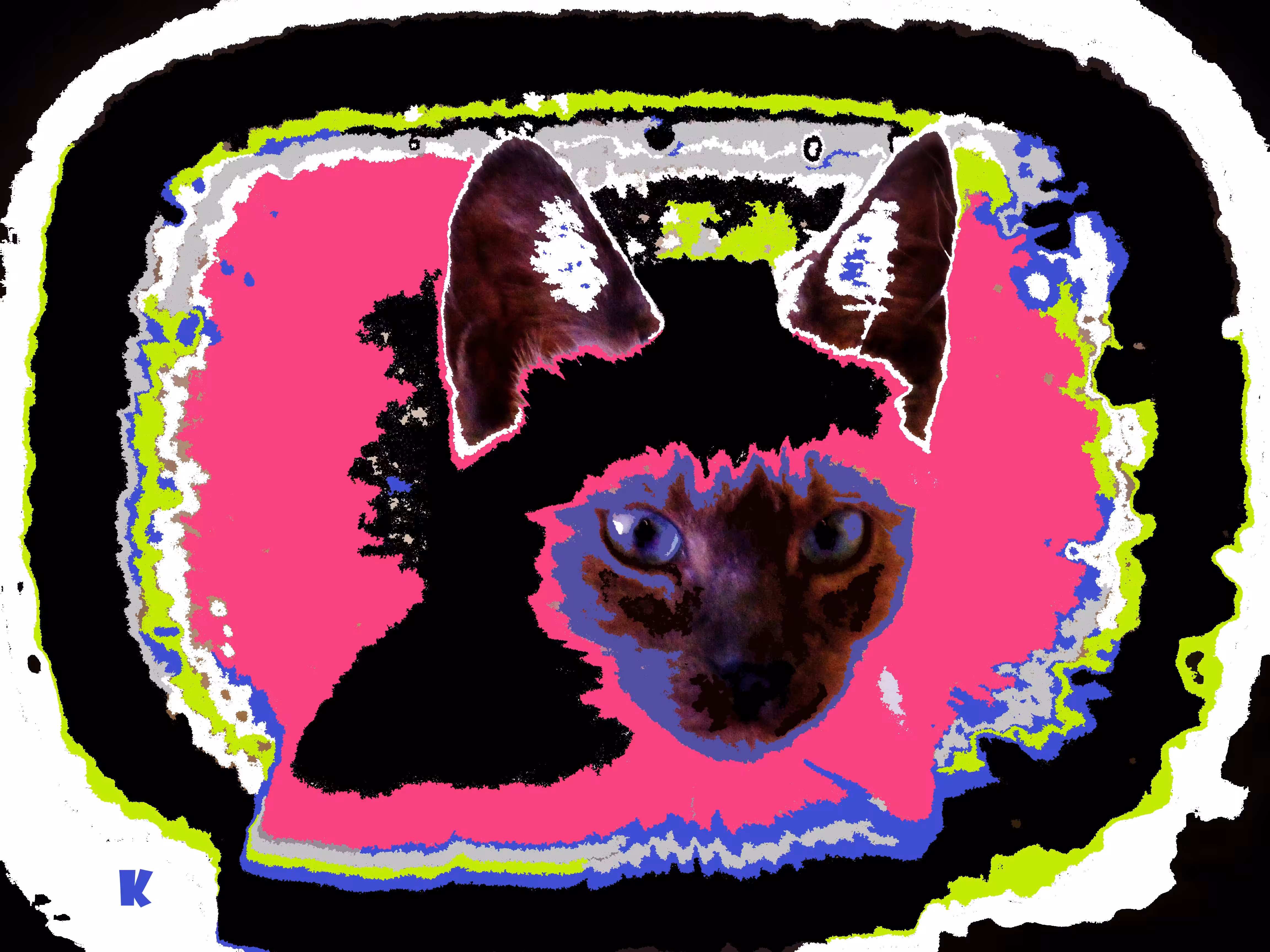 Psychedelic Cat