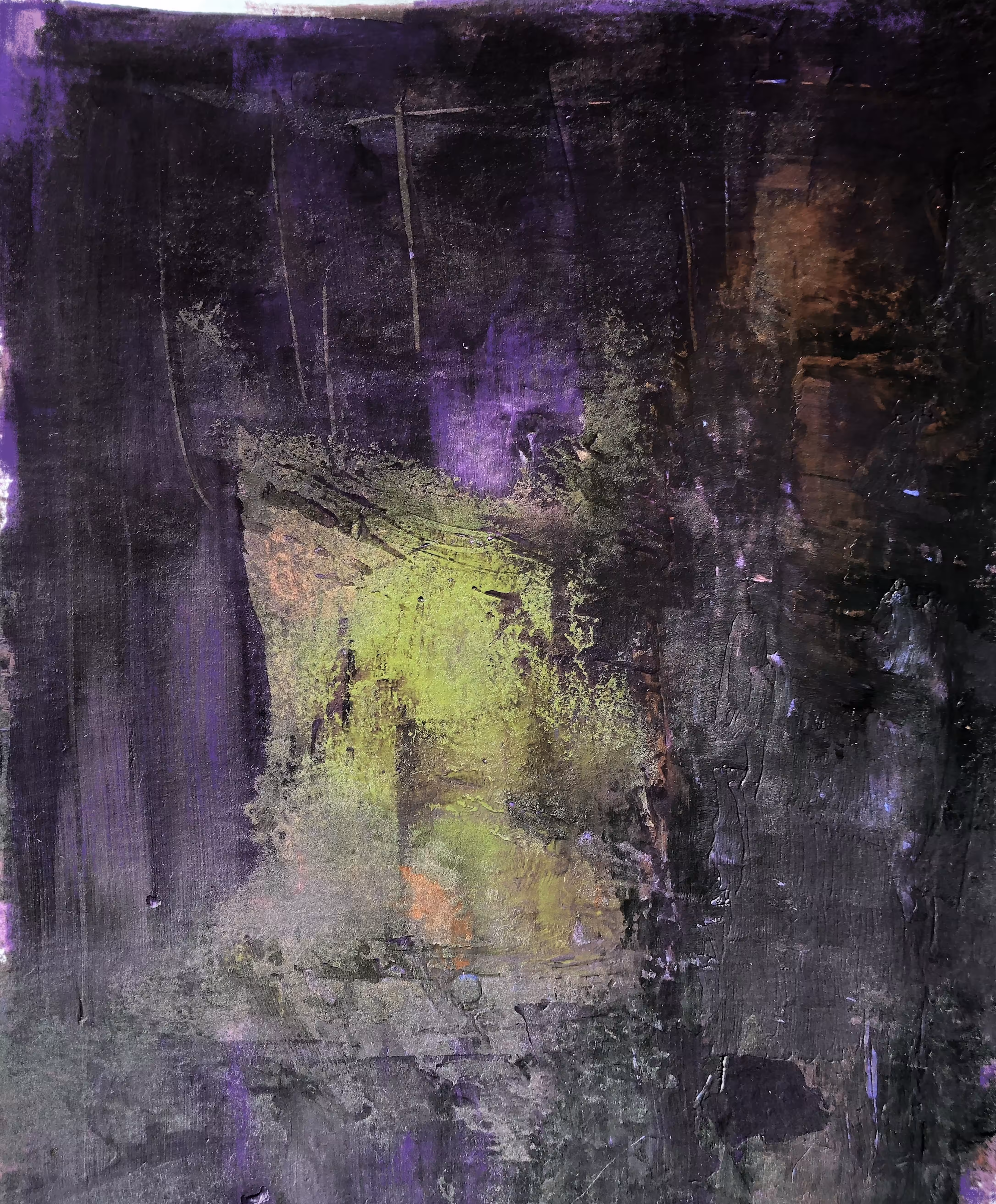 Nocturnal Blooms