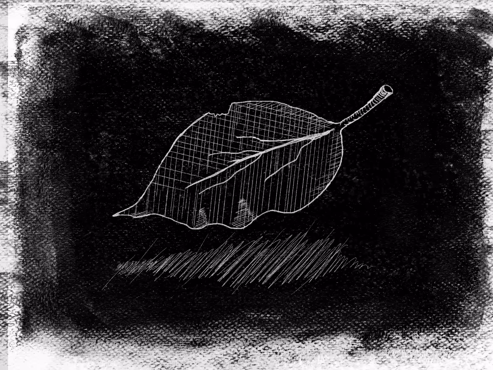 Ephemeral Leaf