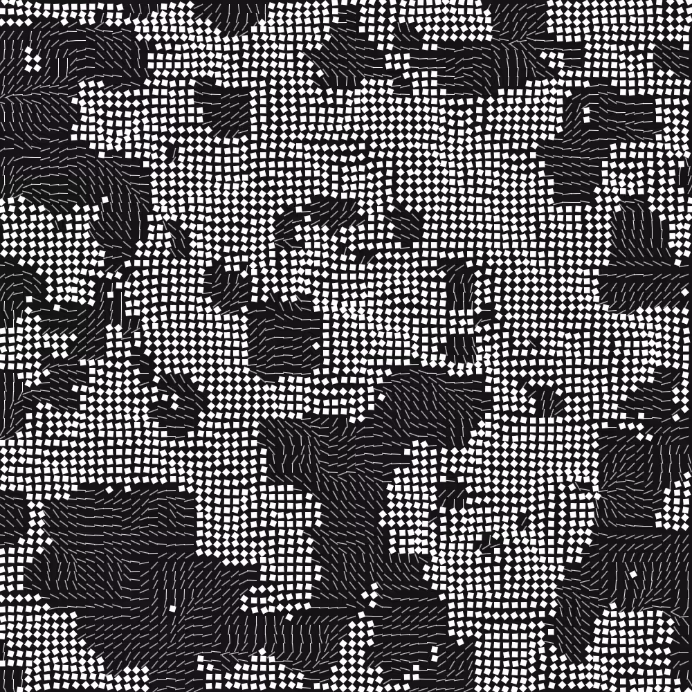 Geometric Fluidity #892