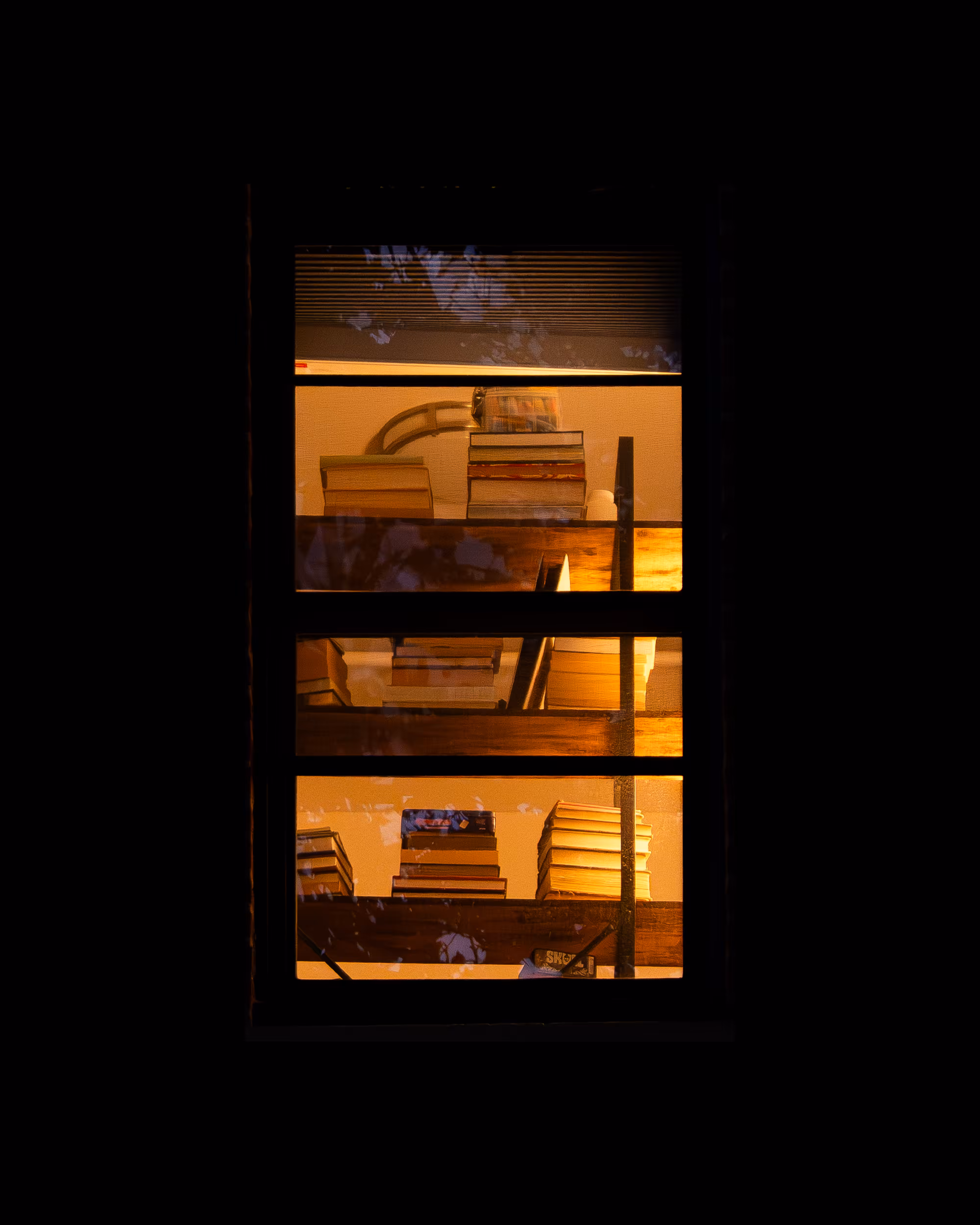 WINDOW 219