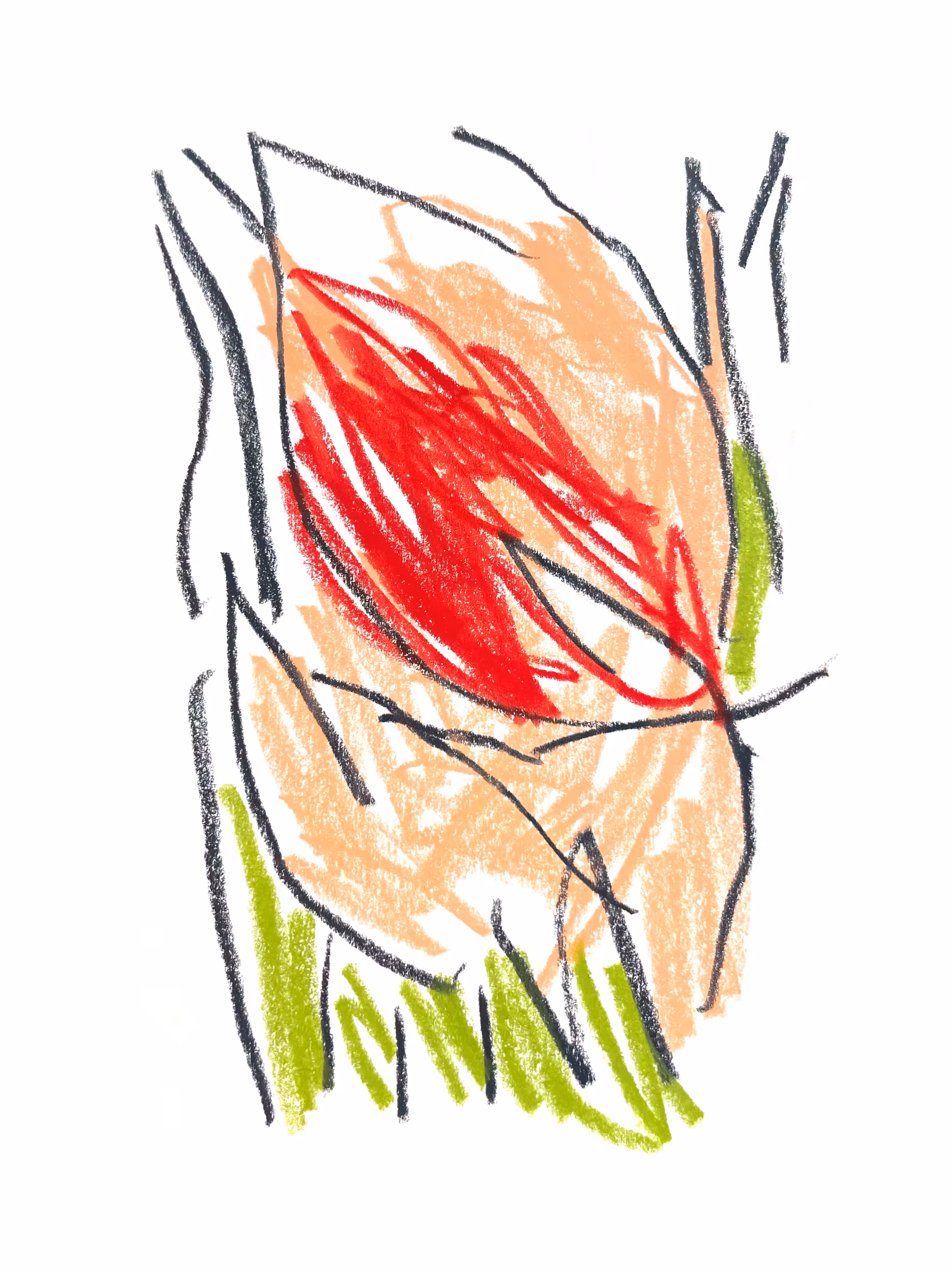 Daily Drawing 060822A