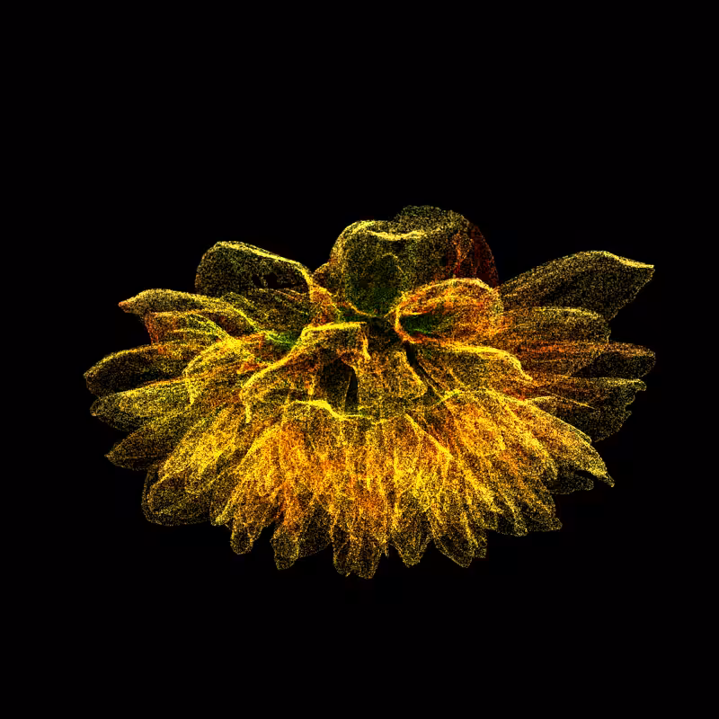 Dahlia Pinnata 30 #99