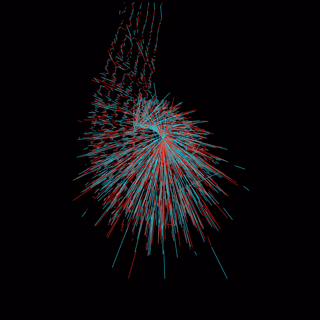 Name: Bird Dance | BBR Generative Art