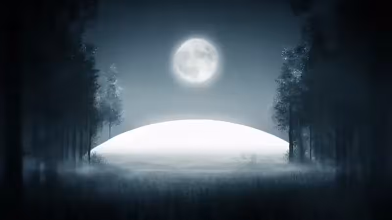 DX01: SINGULARITY 17836