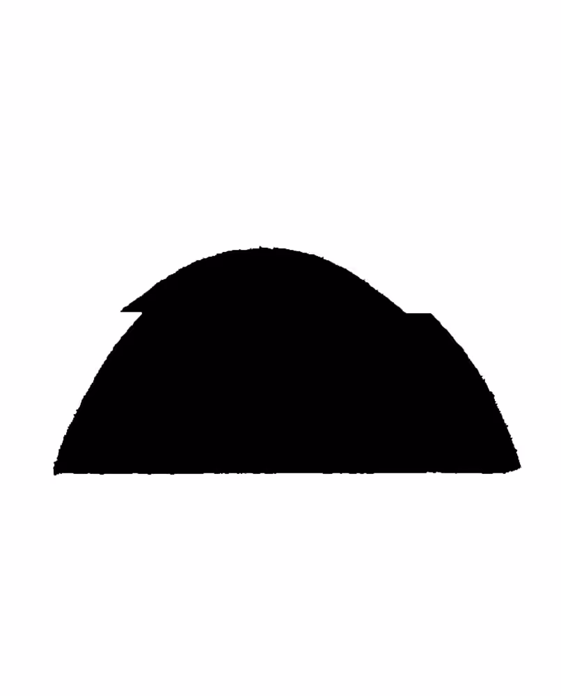 black scarabaeus fragmented