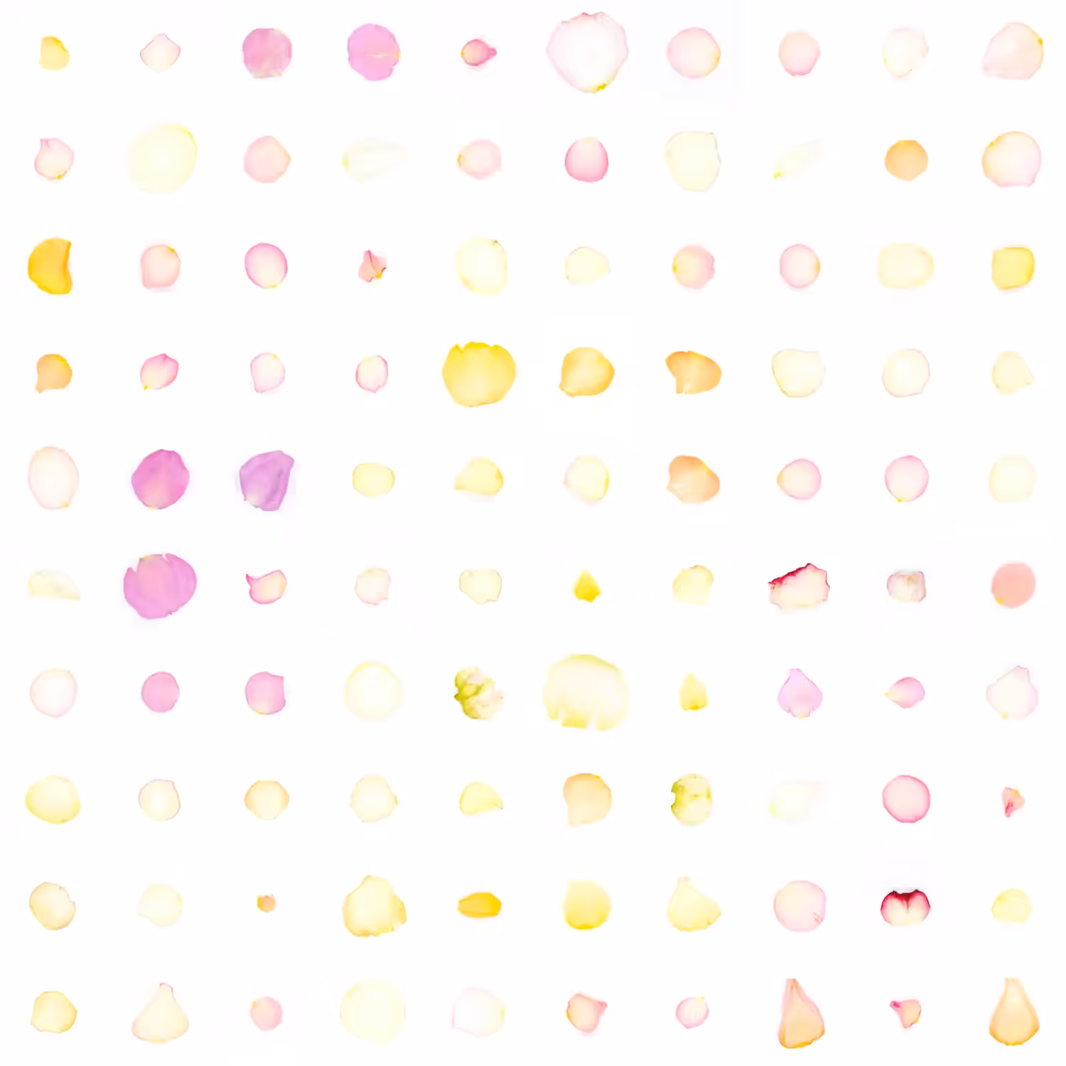Infinite Petals 10x10#2197