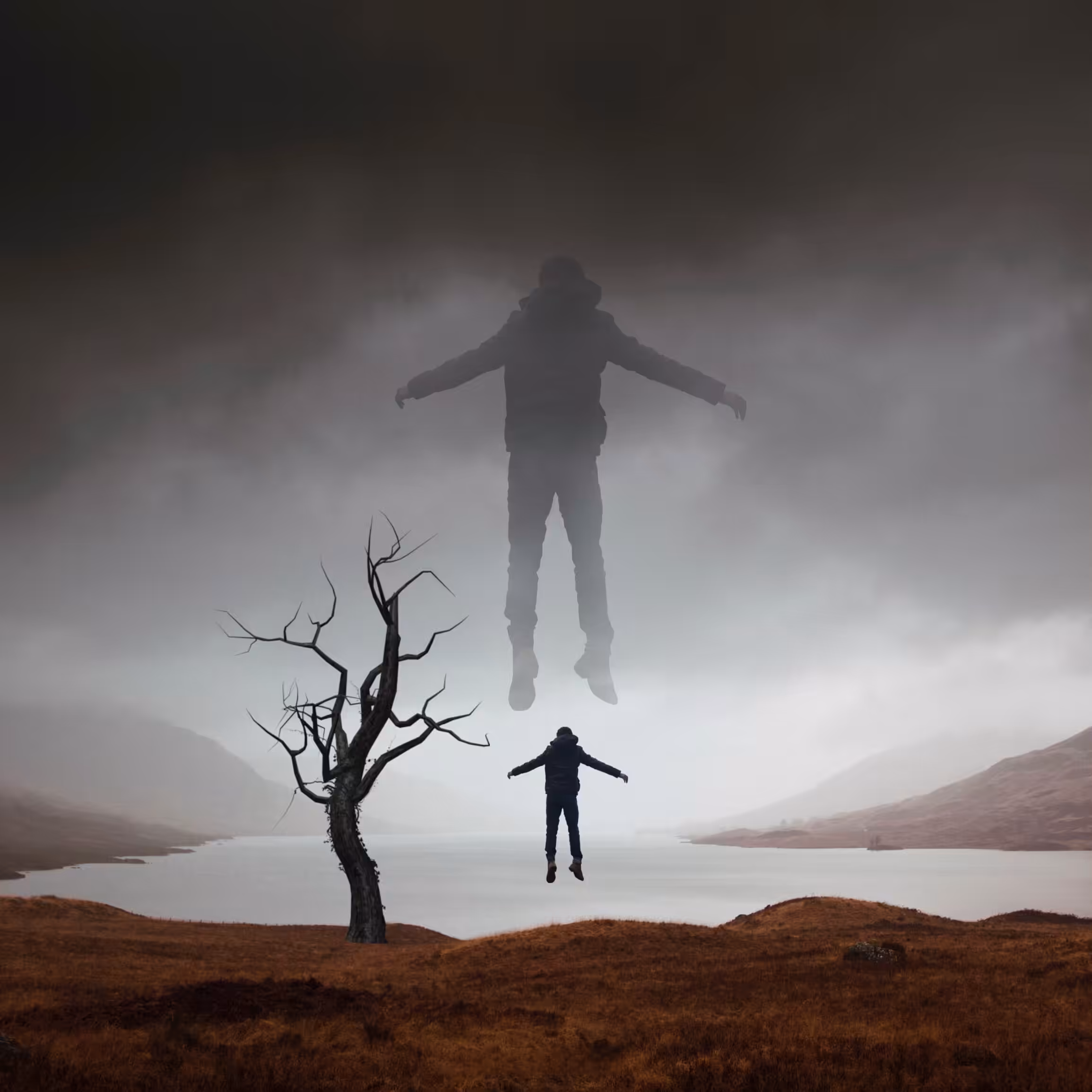 INTROSPECTION