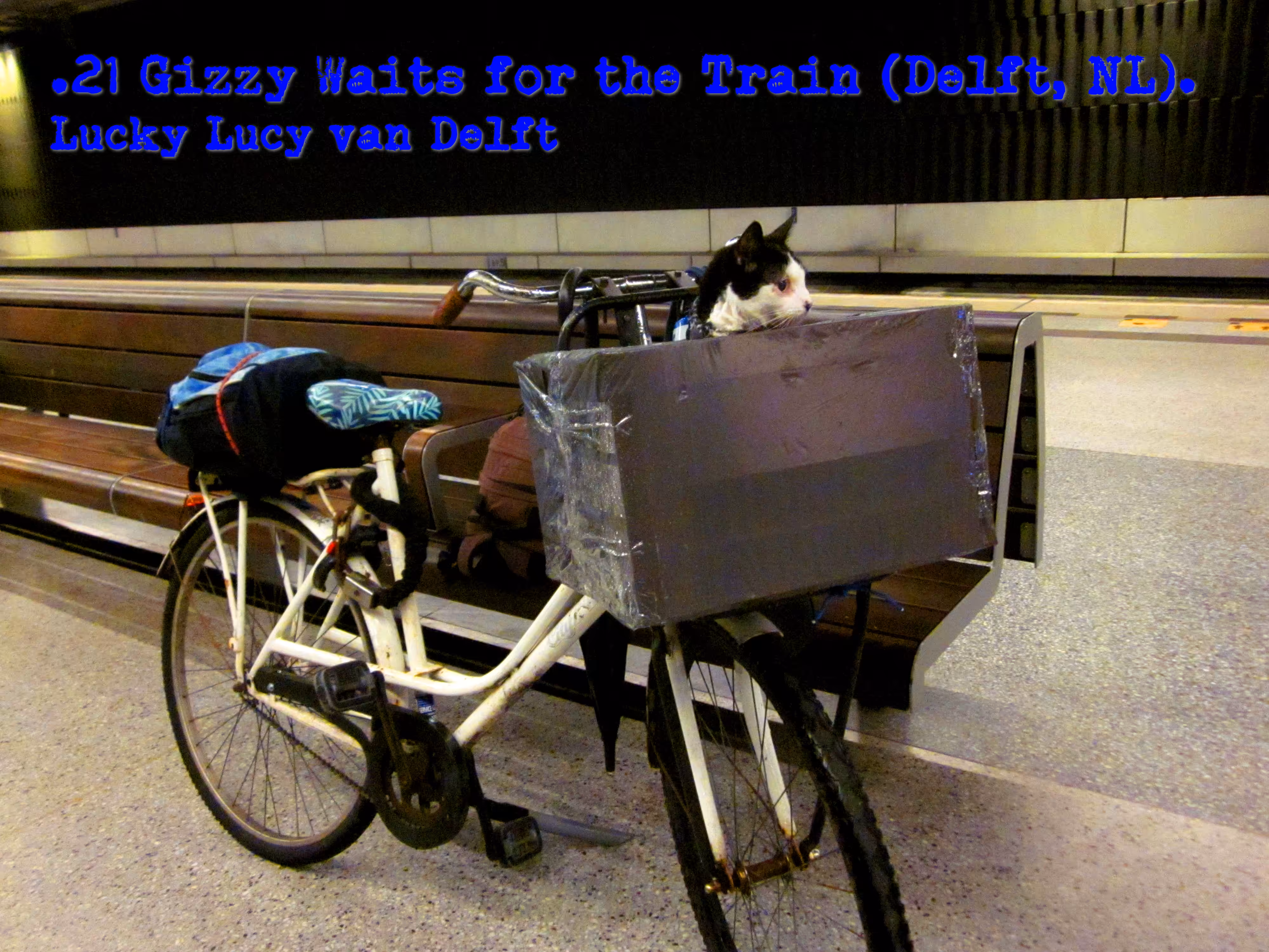 .21 Gizzy Waits for the Train (Delft, NL). Lucky Lucy van Delft