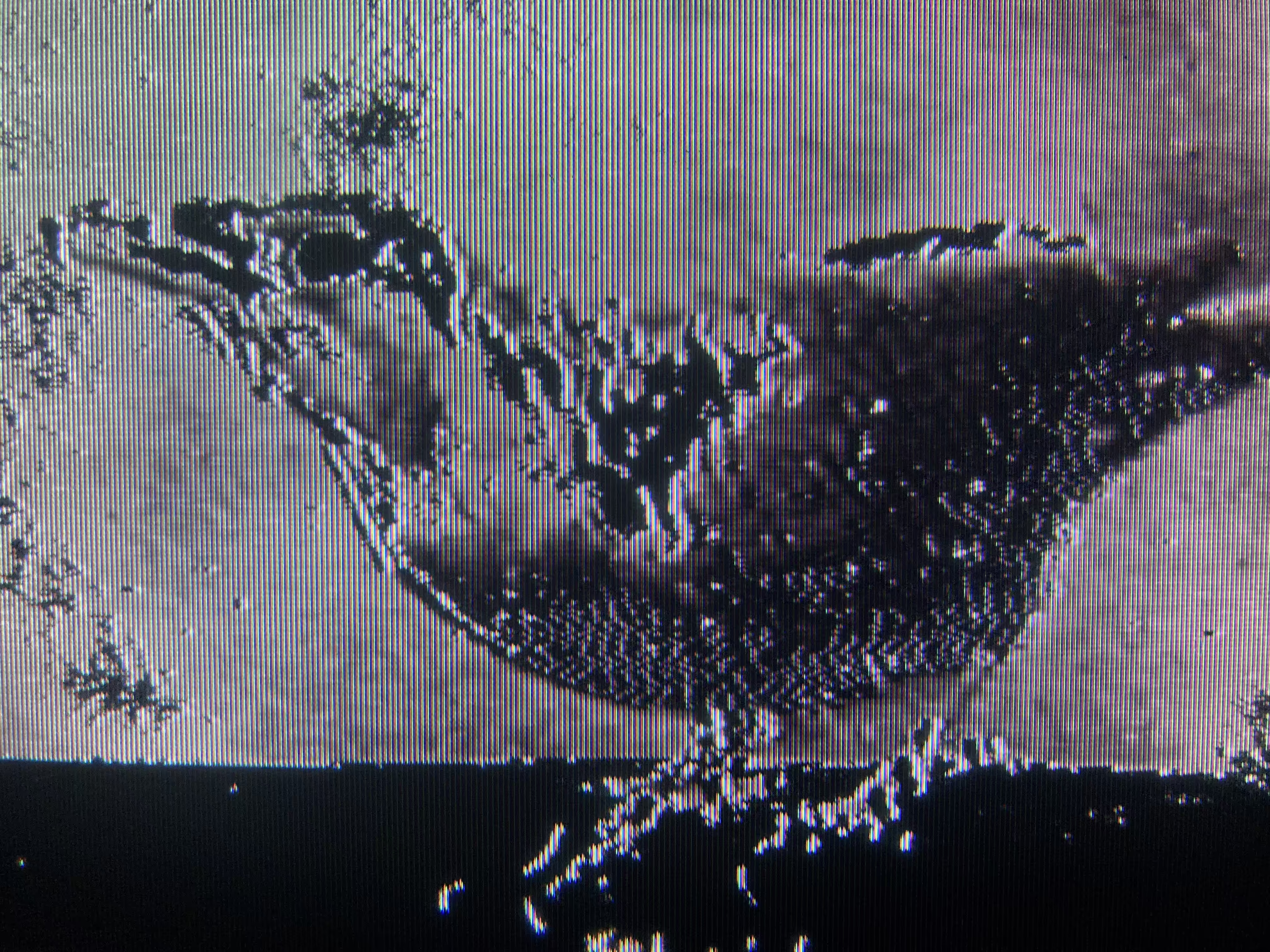 glitchbirb-002