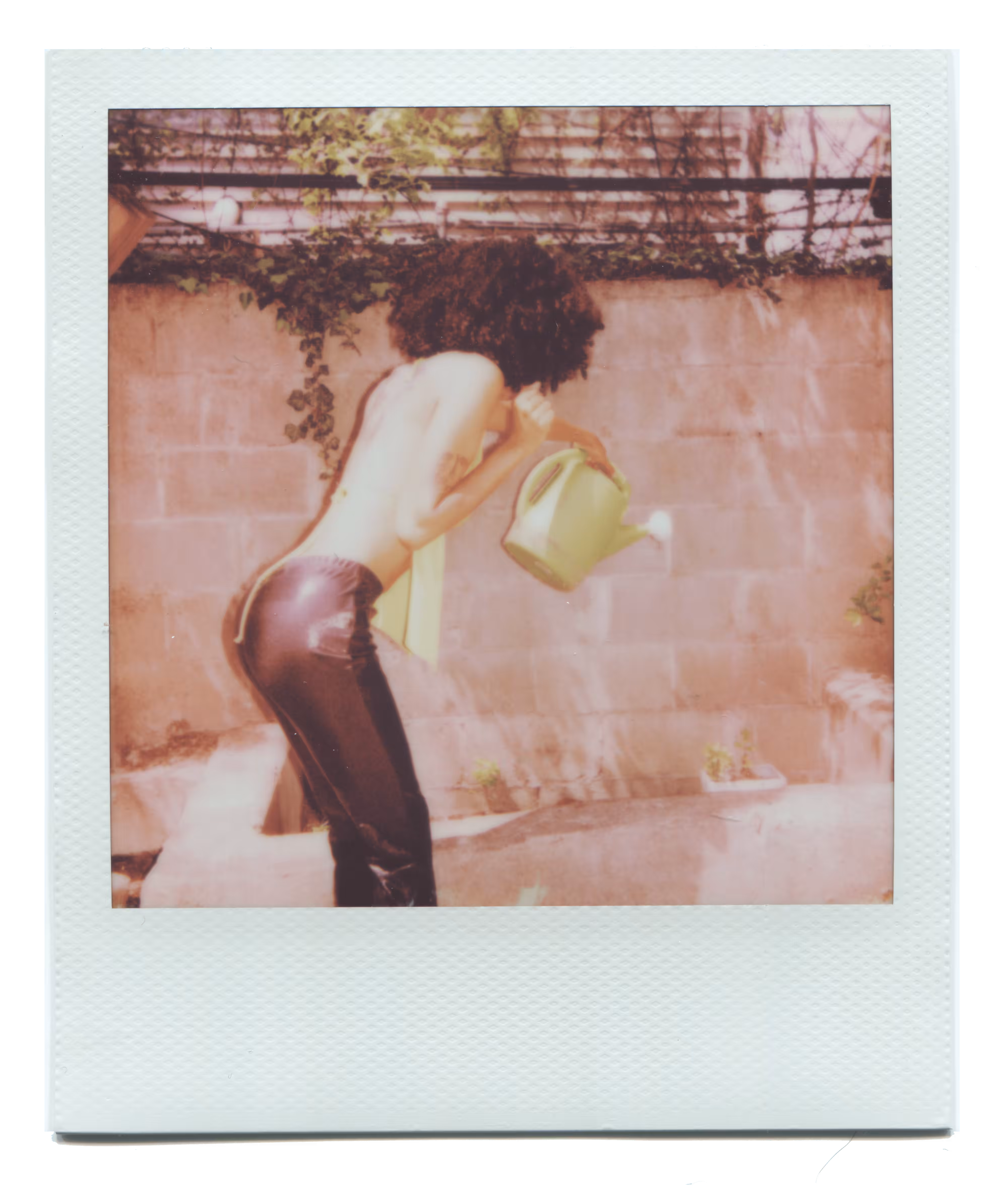 Water Her Gardens
