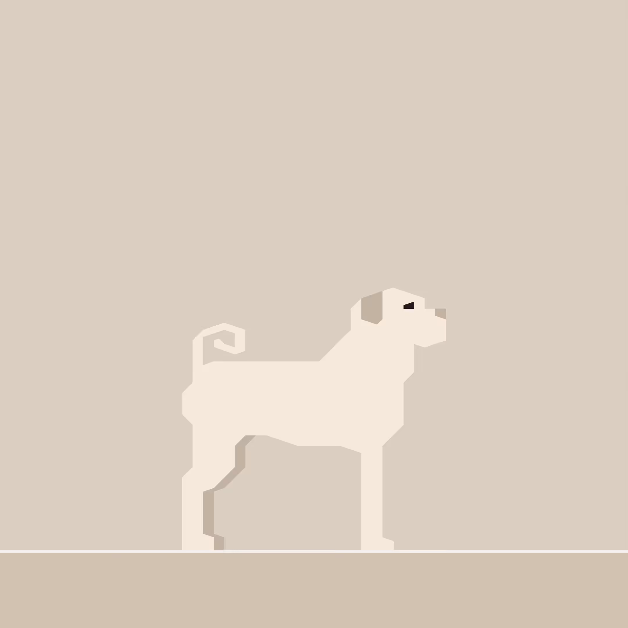 Shar Pei