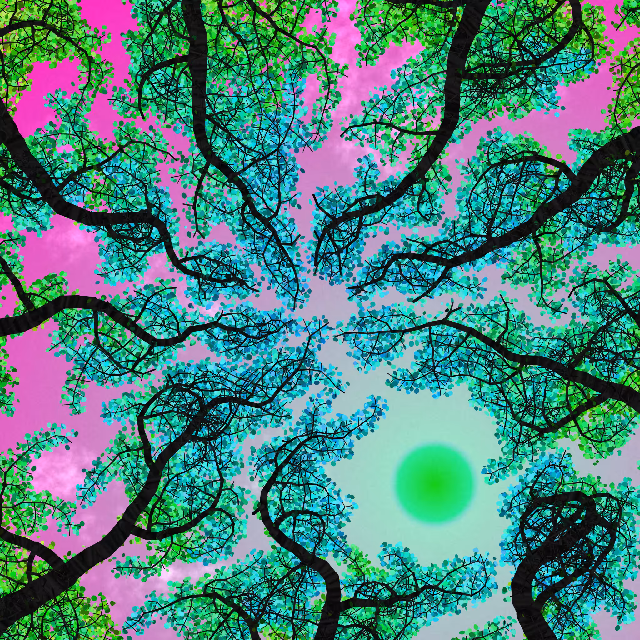 Tree Skyness #167