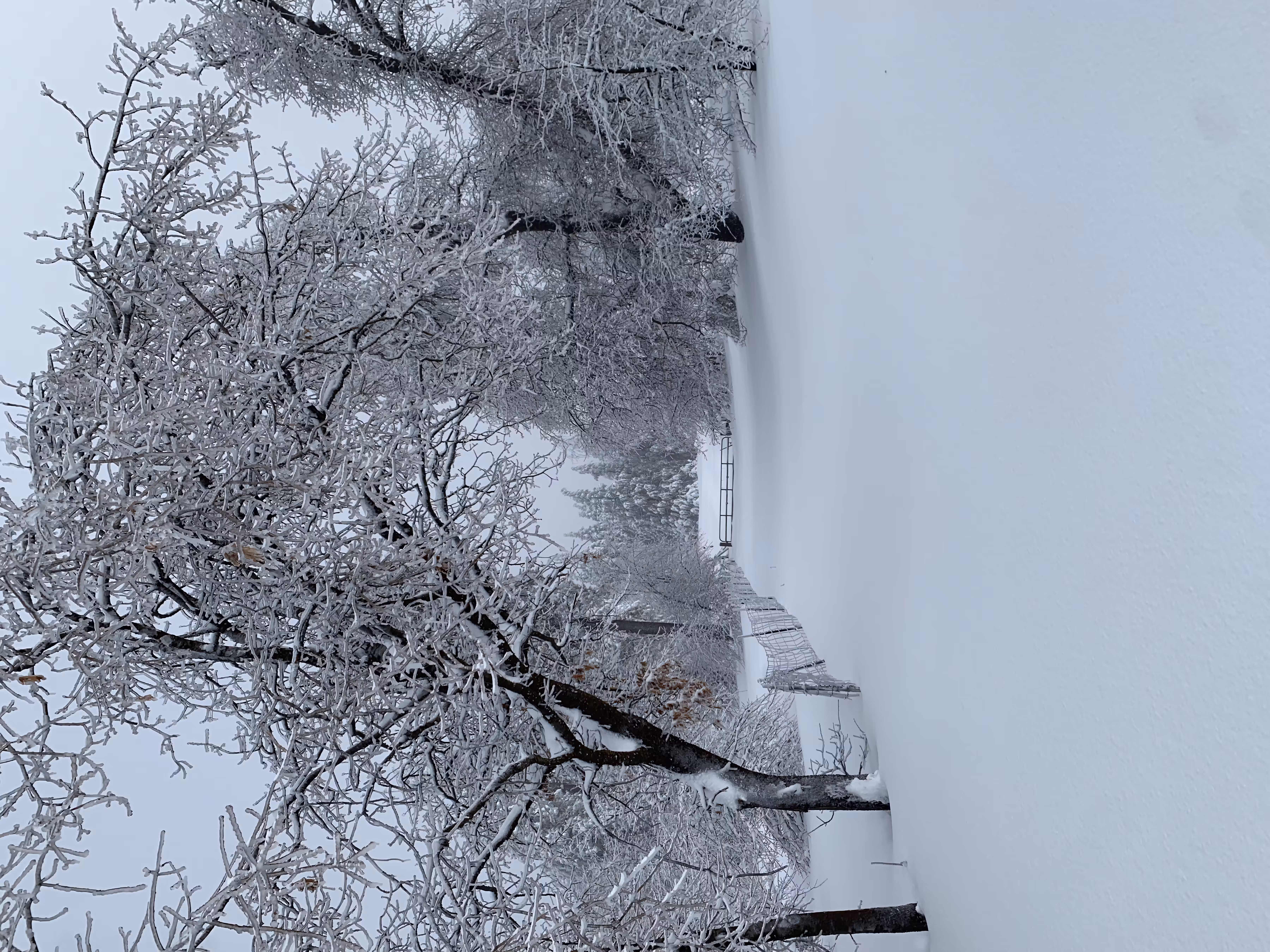 Snowy Road