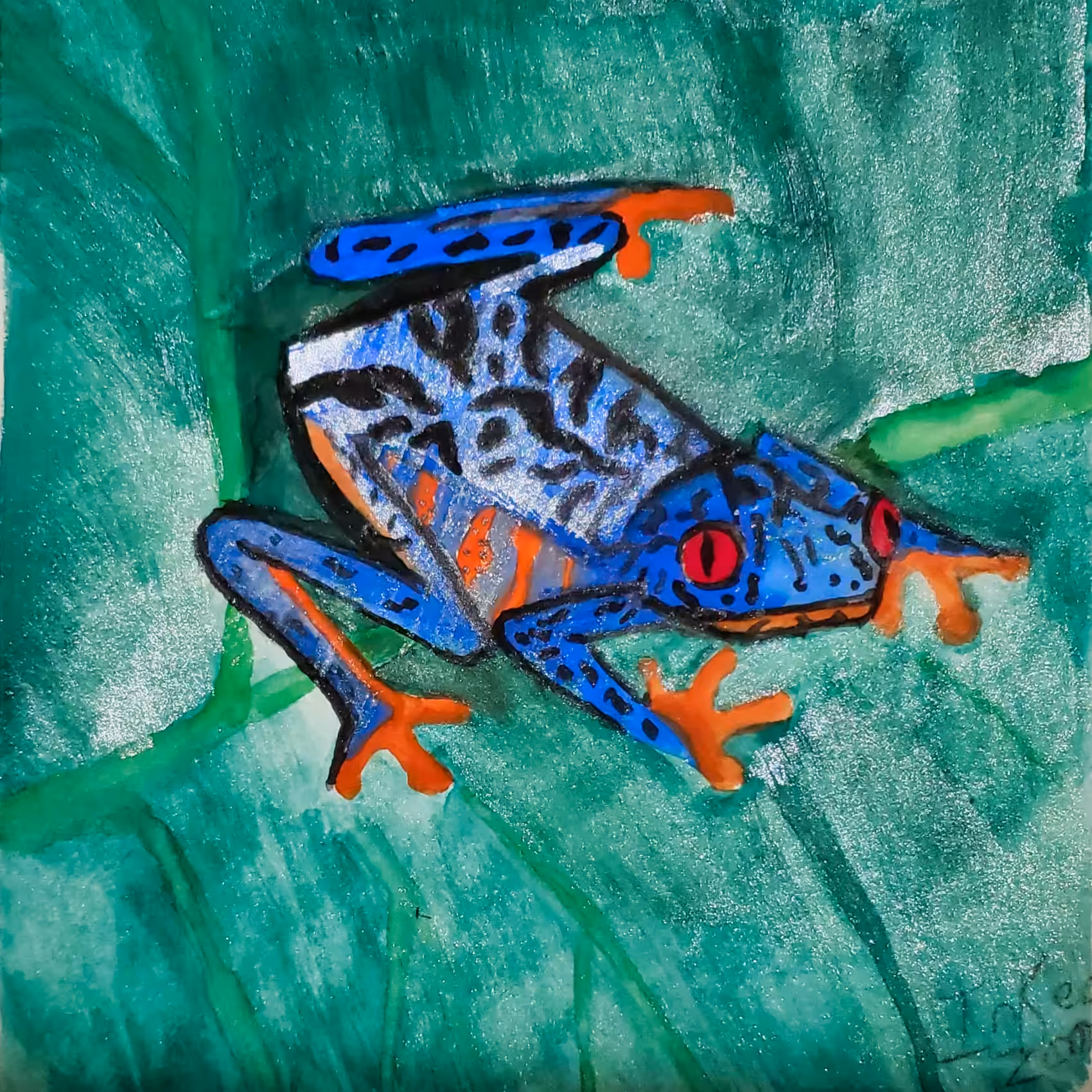 Indigo Tree frog