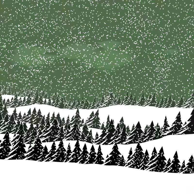 Winterland #48