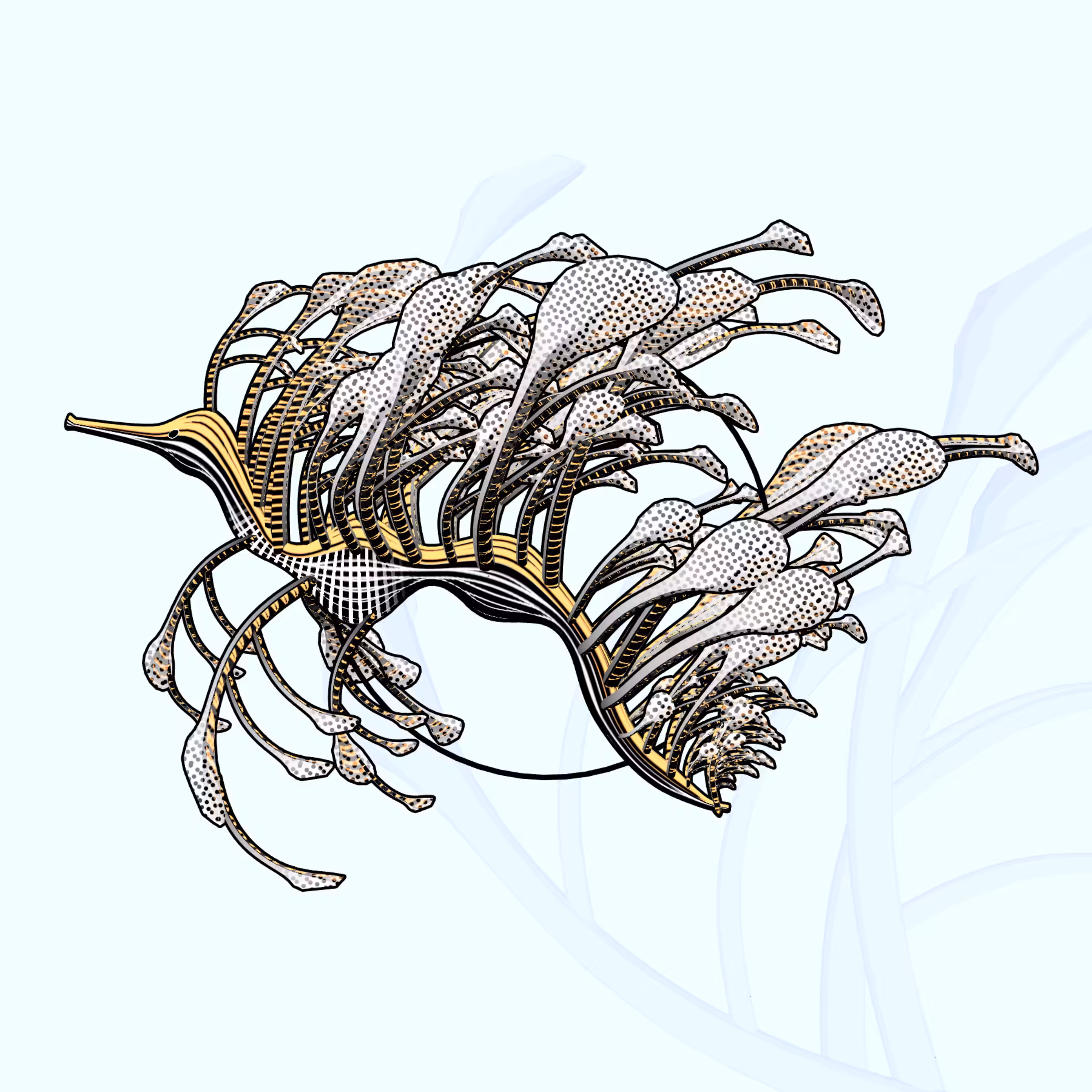 Seadragons #437