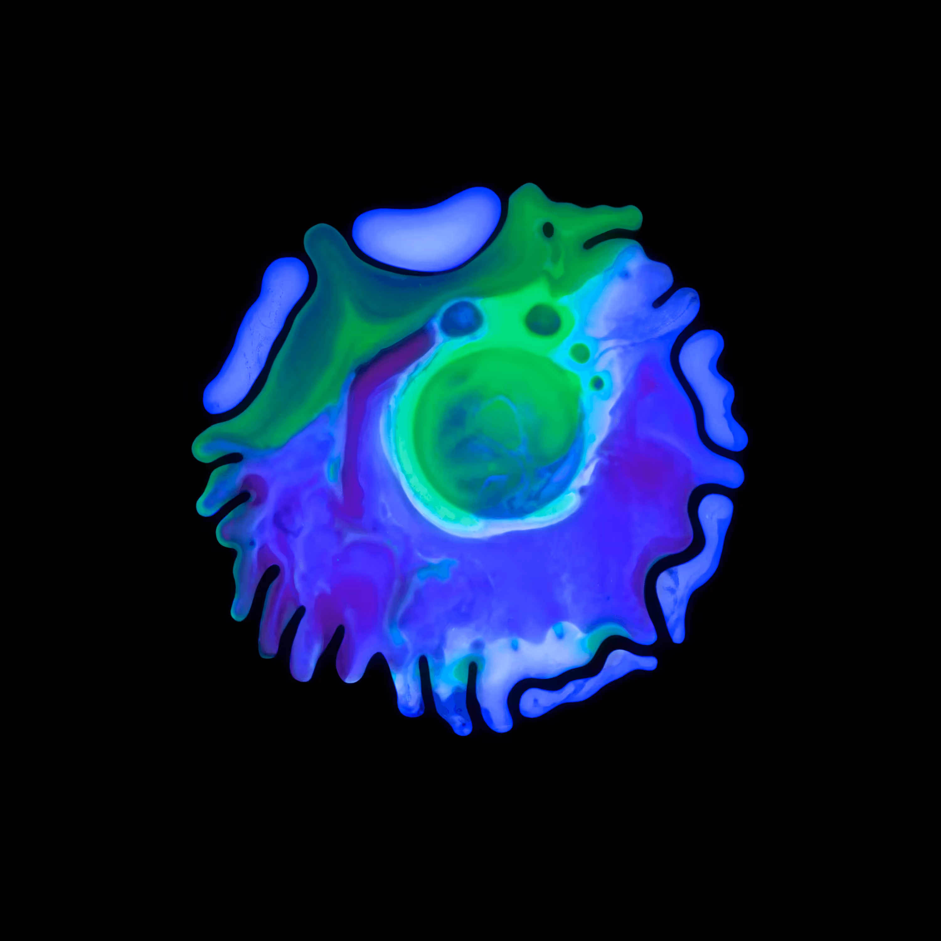 Haematopoiesis #262