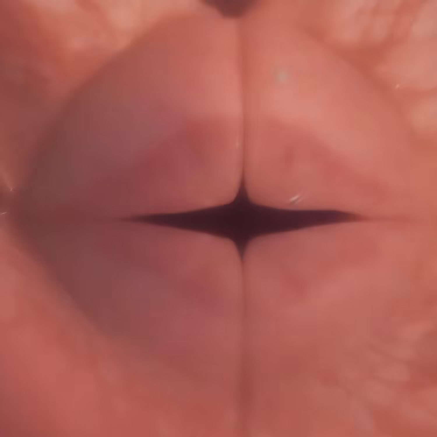 DiaJam: Ephemeral Pleasures