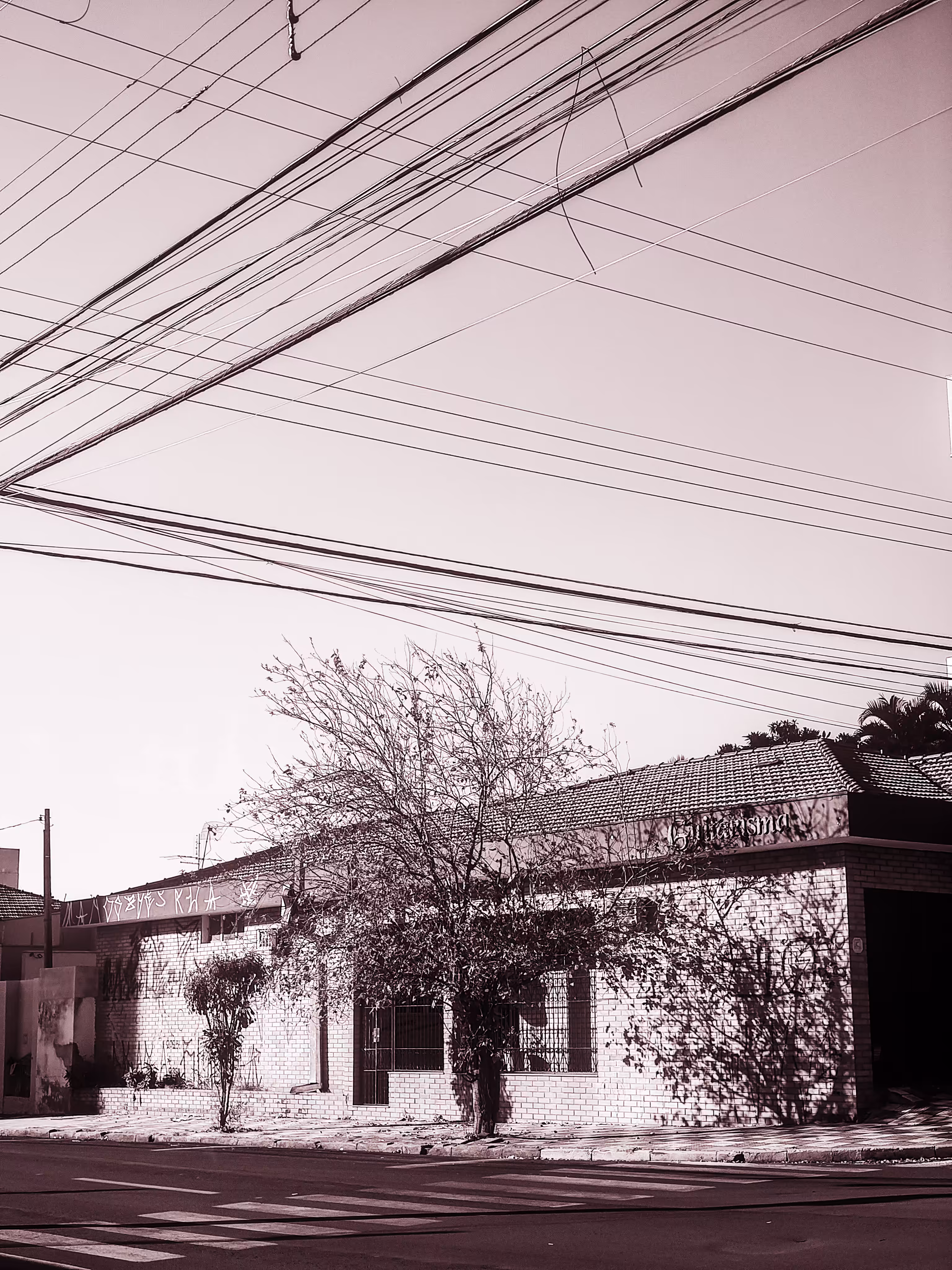 Lines