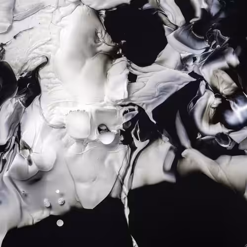 The Petri Dish project - Ontogenesis 03