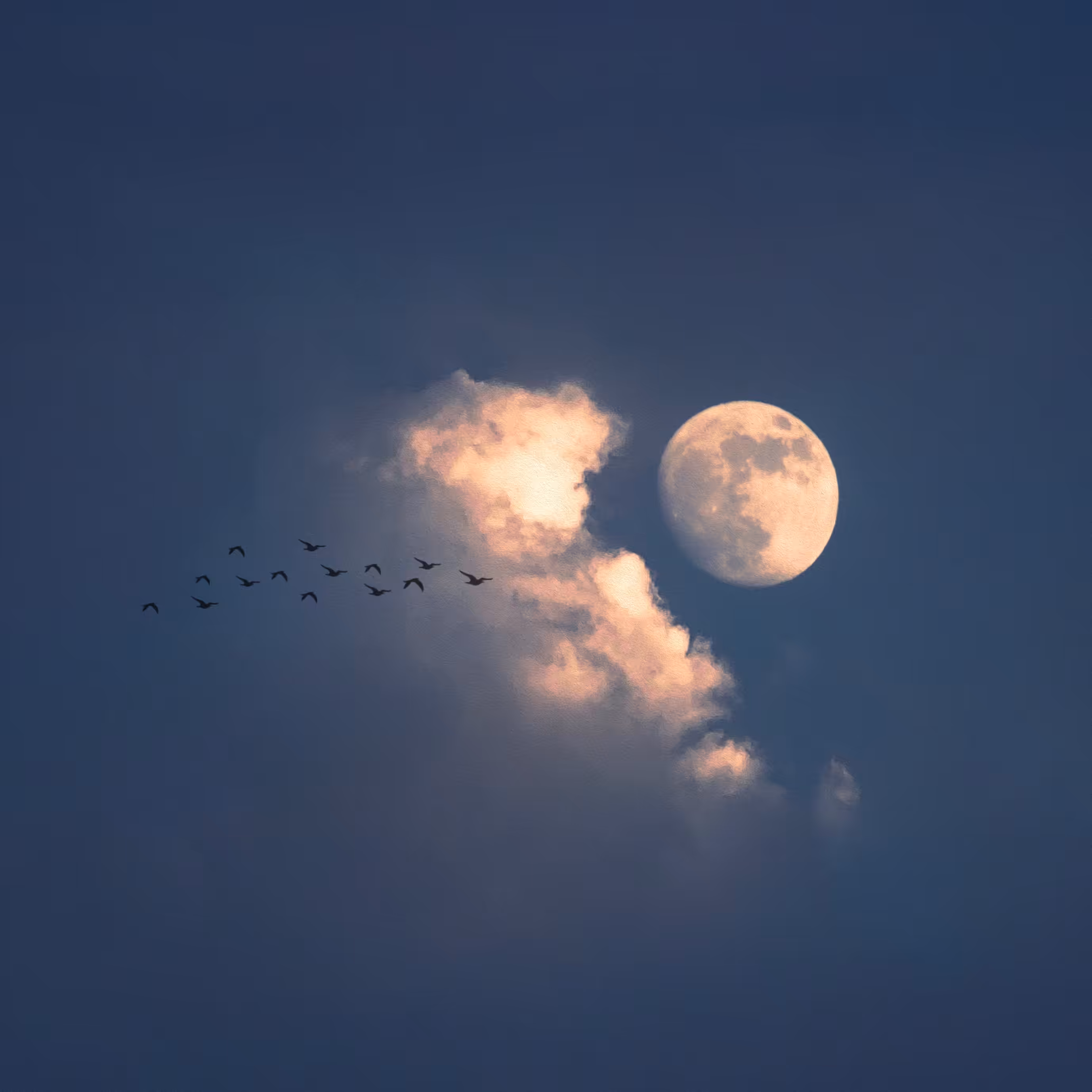 La luna