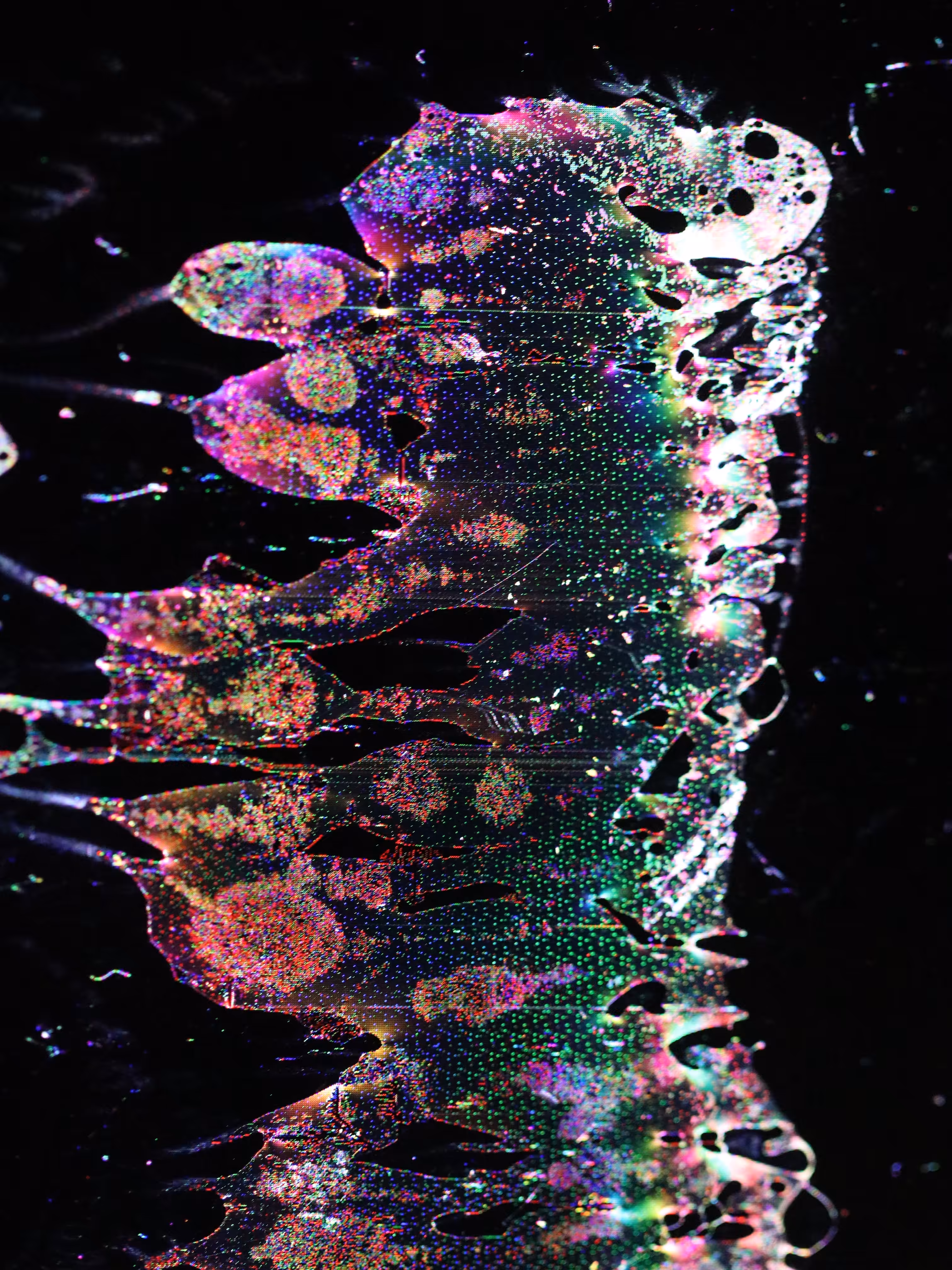 LOWREZ085