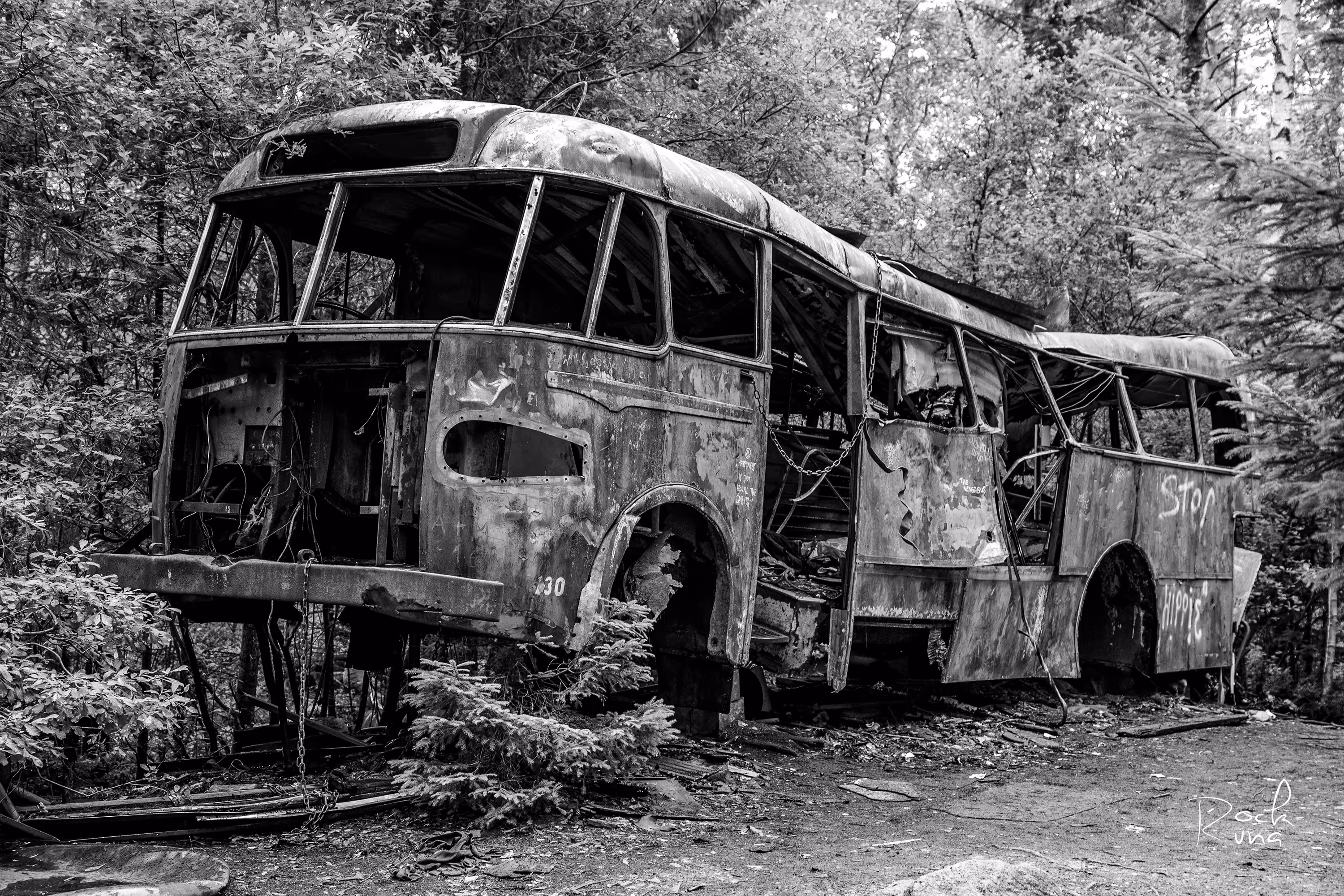 Car Junkyard Sweden No.1