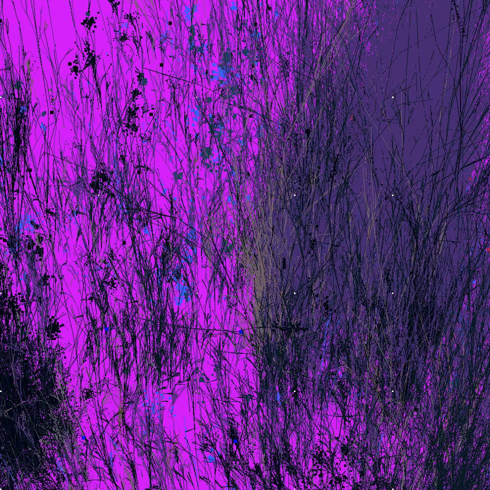 Infinite Garden: 59170 Flowers