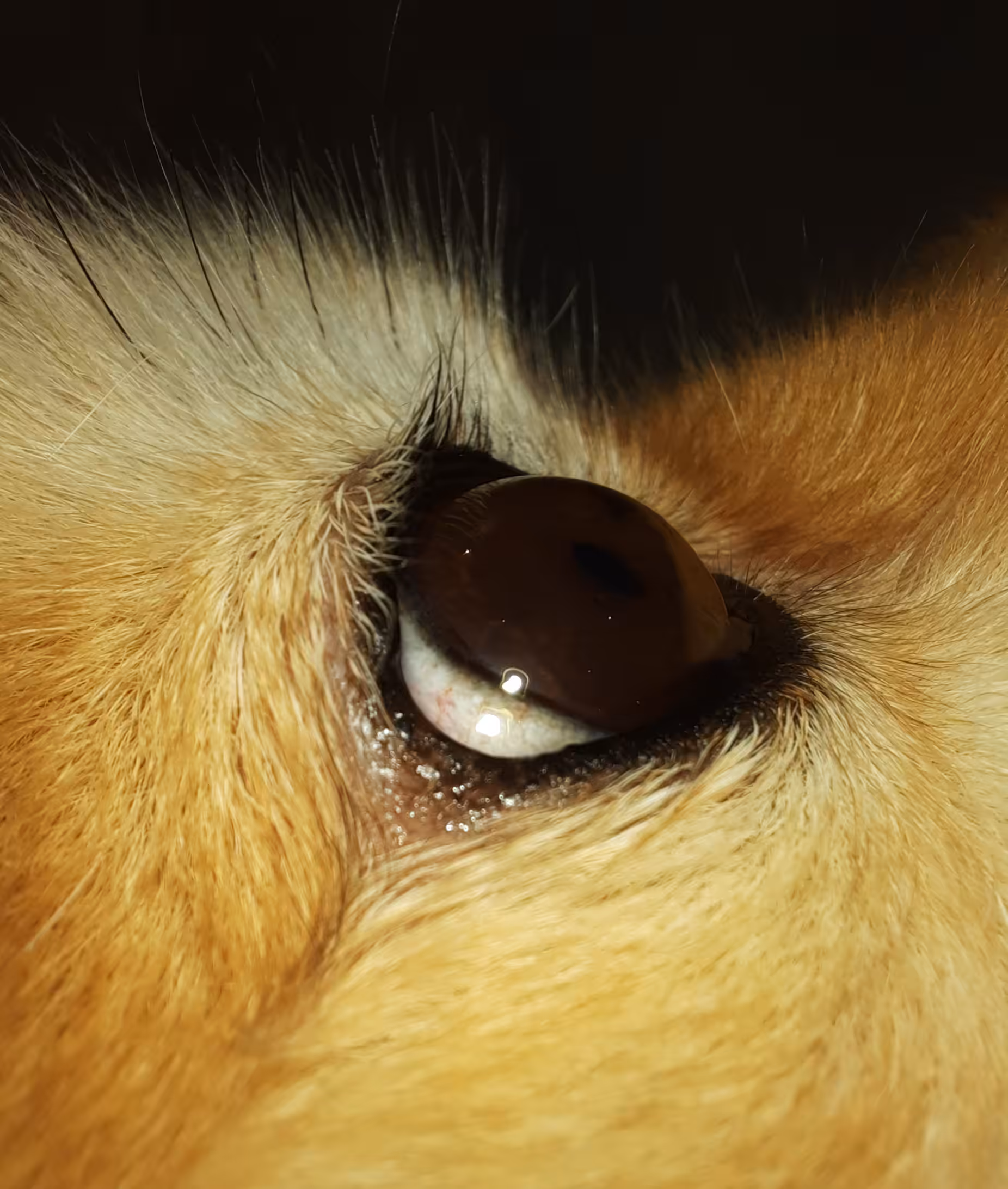 The All-Seeing Eye
