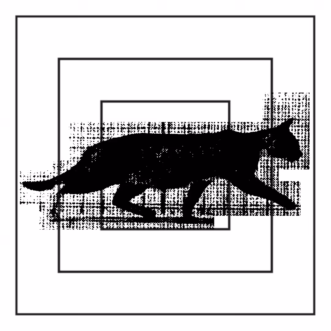 feline_01