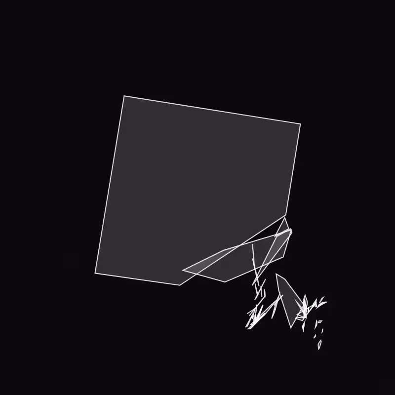 Fracture #19