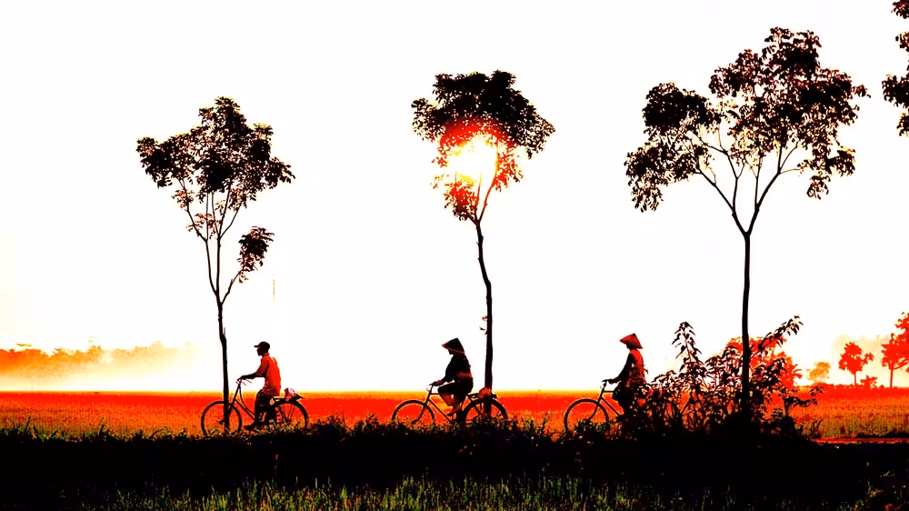 Ride in bicycle