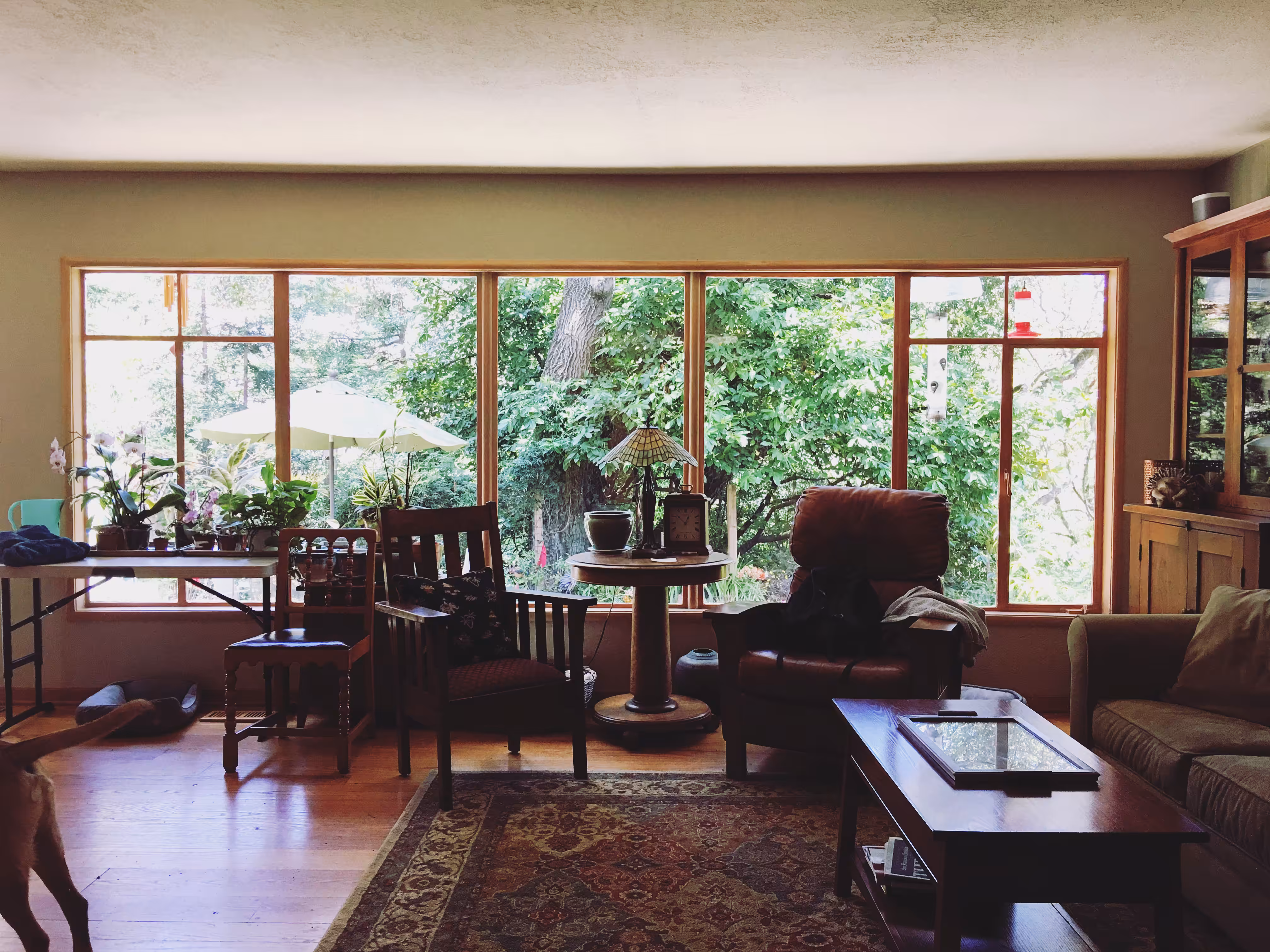 The Treehouse
