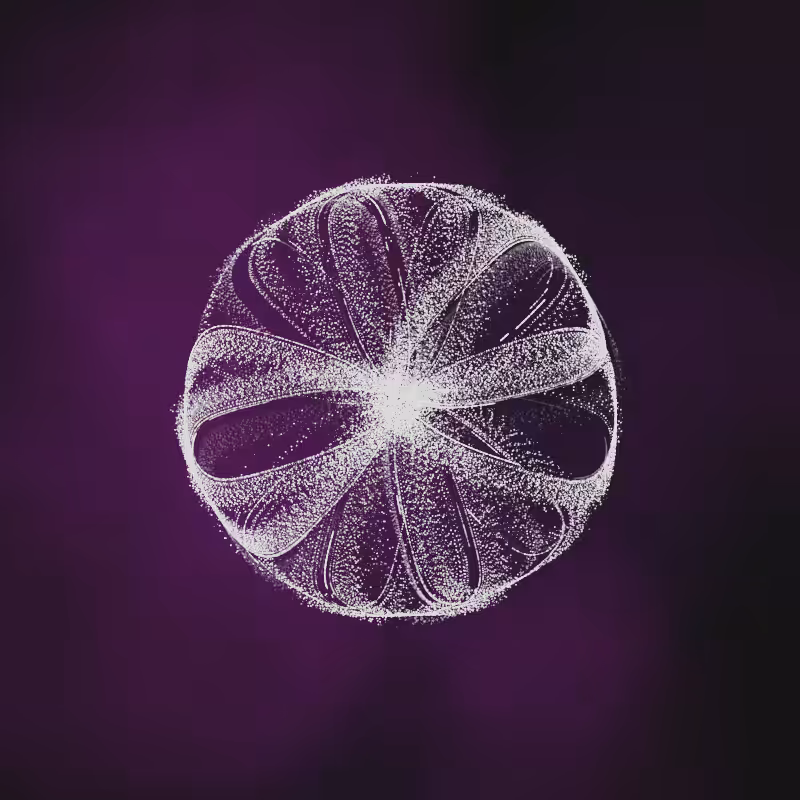 polar thread n.12 #1