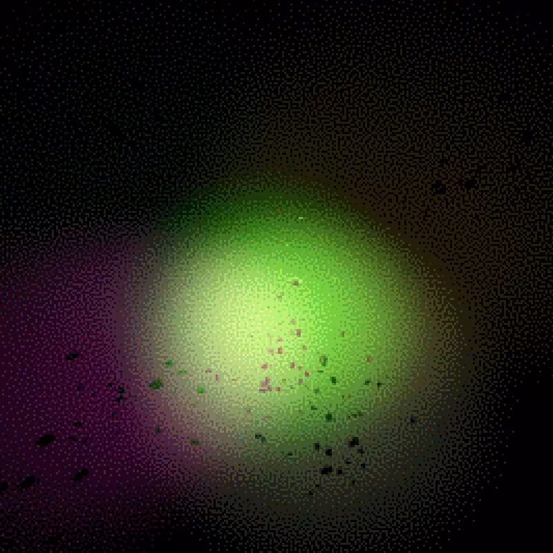 Moths #50