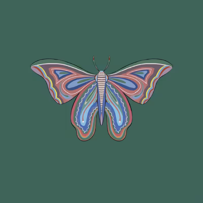 The Moth Experiment 2.0 P2 #7