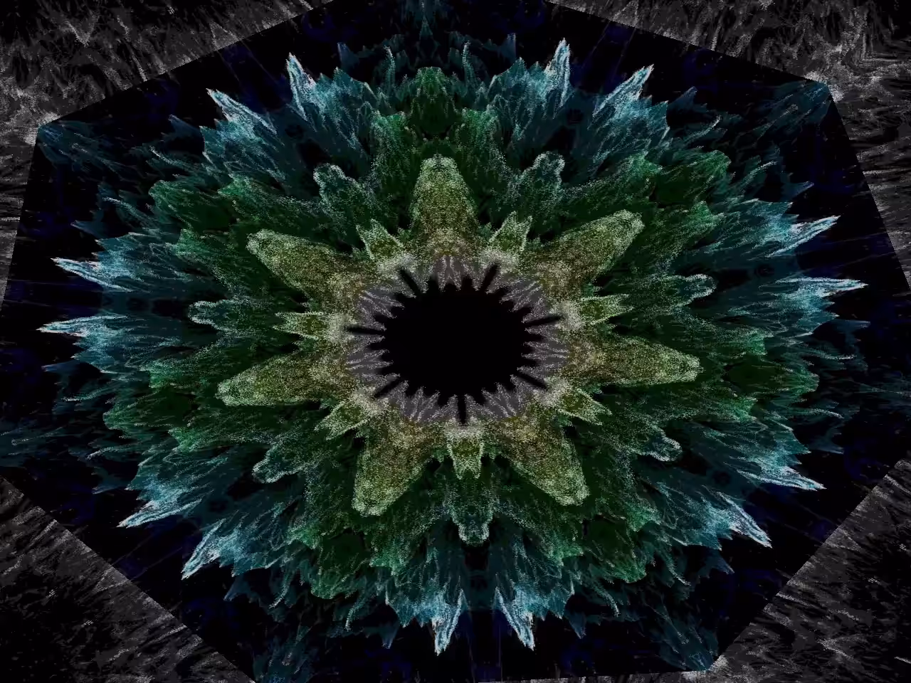 Starseed #2