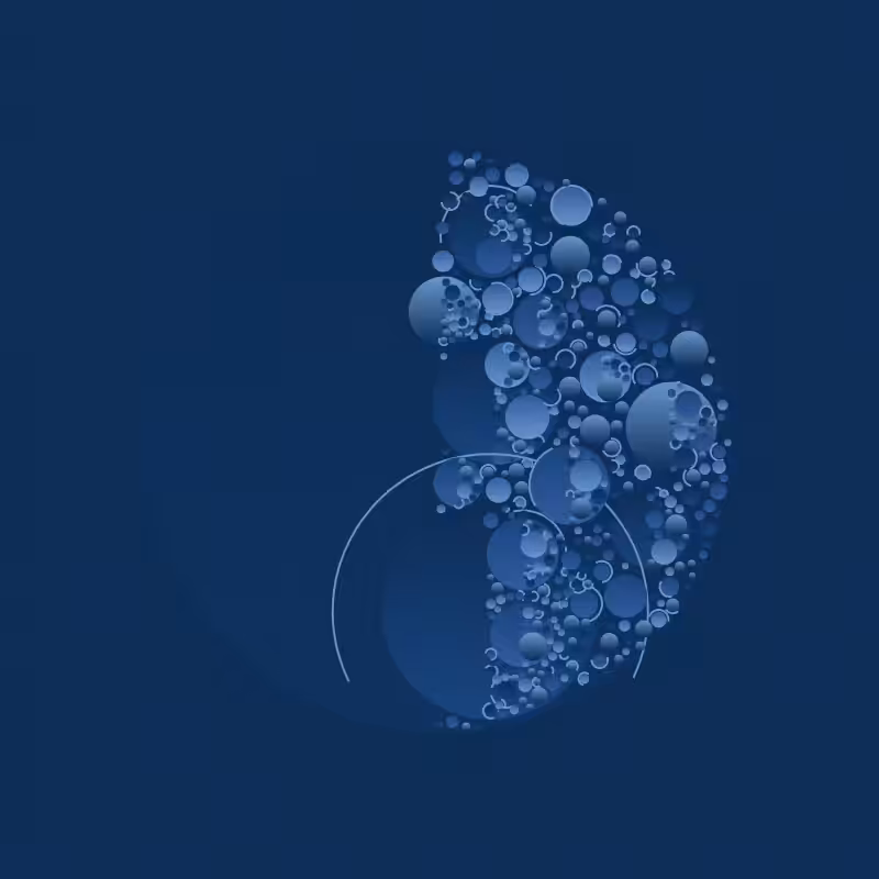 Bindu #44