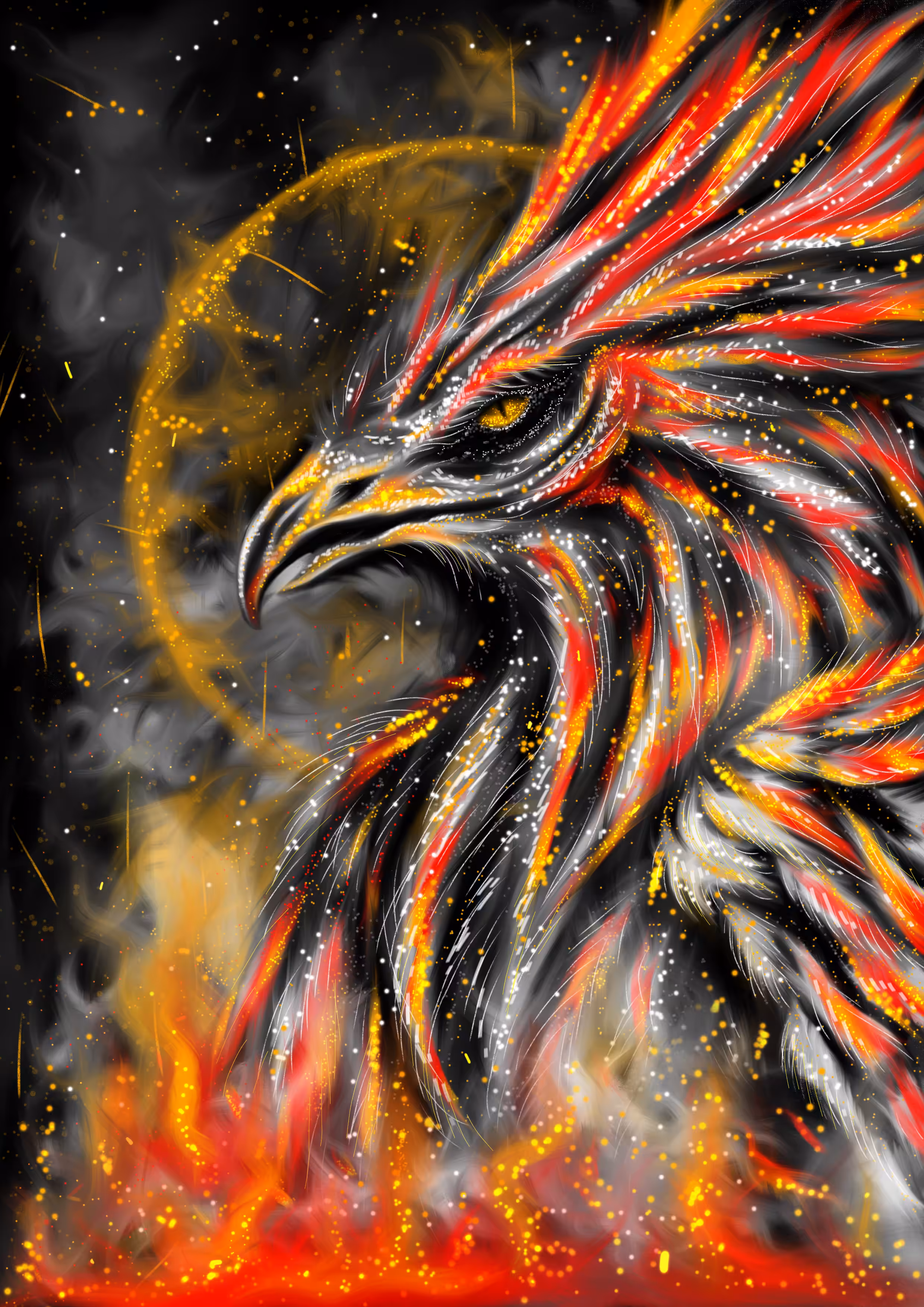 Portrait of the Pheonix 