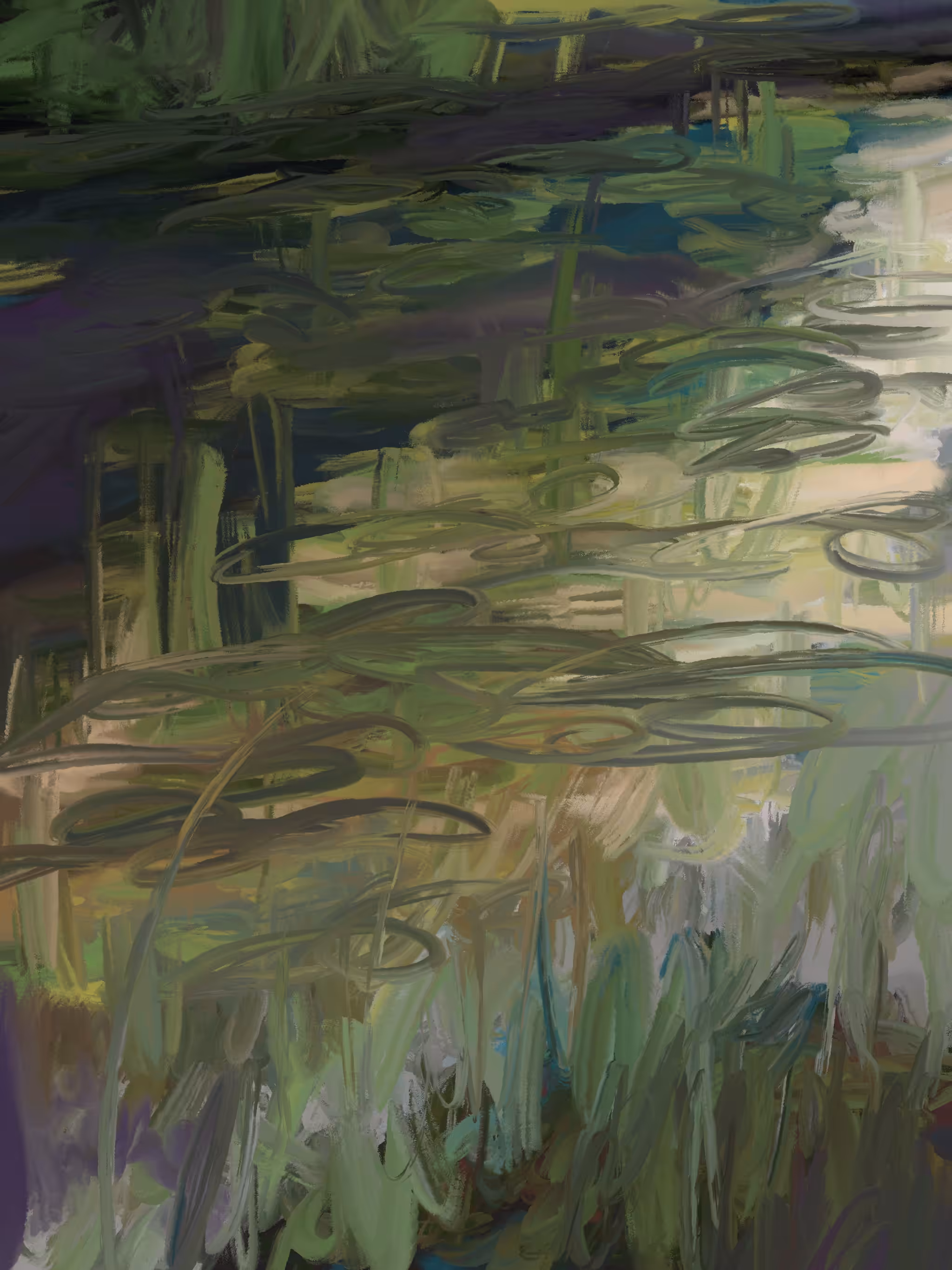 Nymphaea I