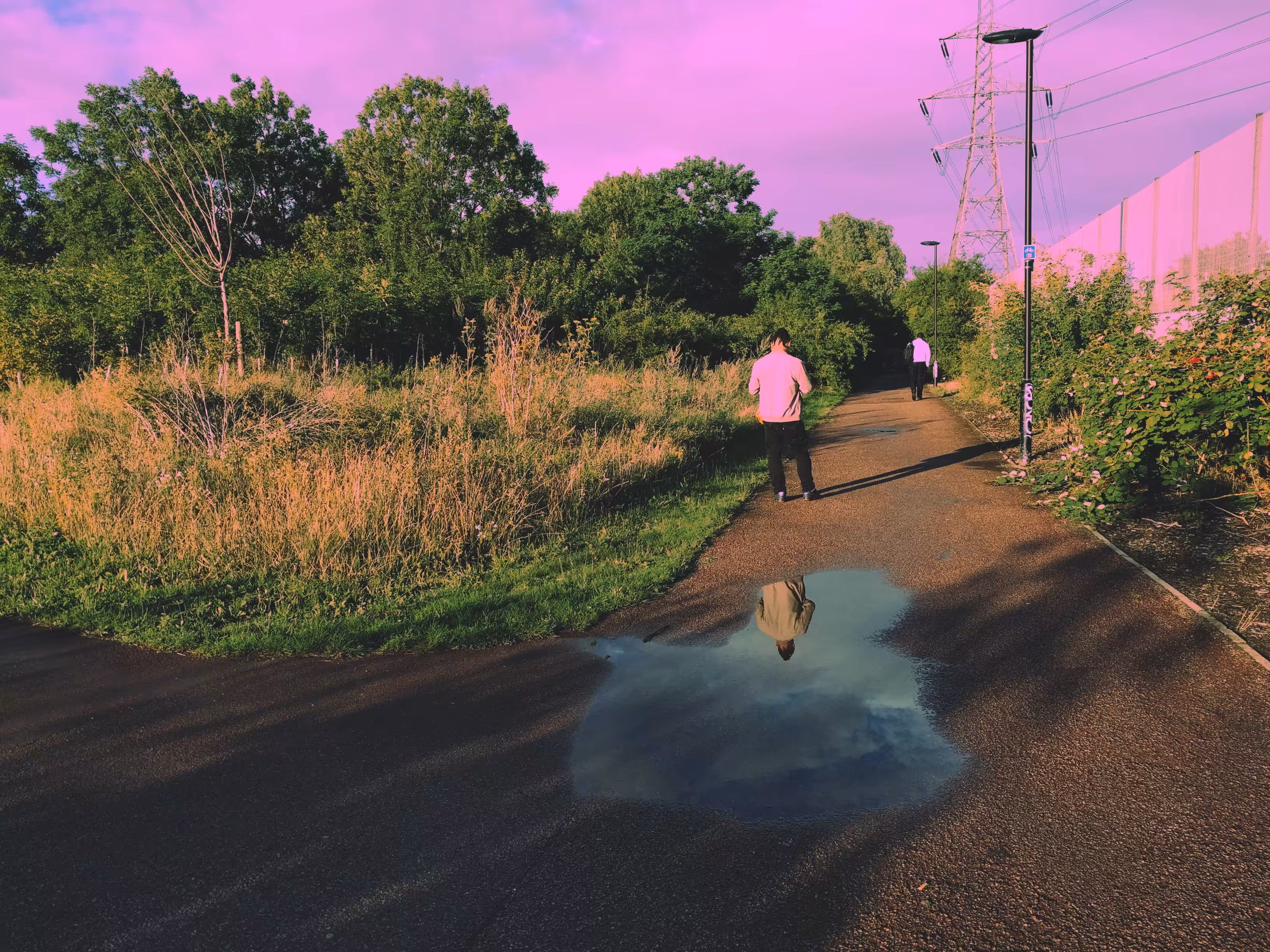 Puddle Vision