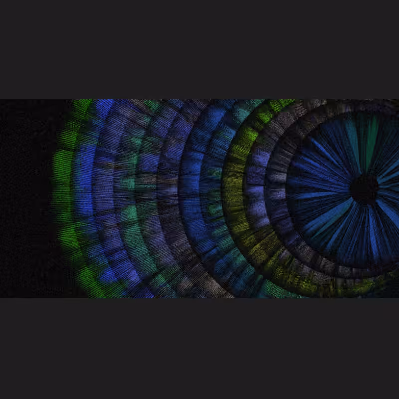 Chameleon #47