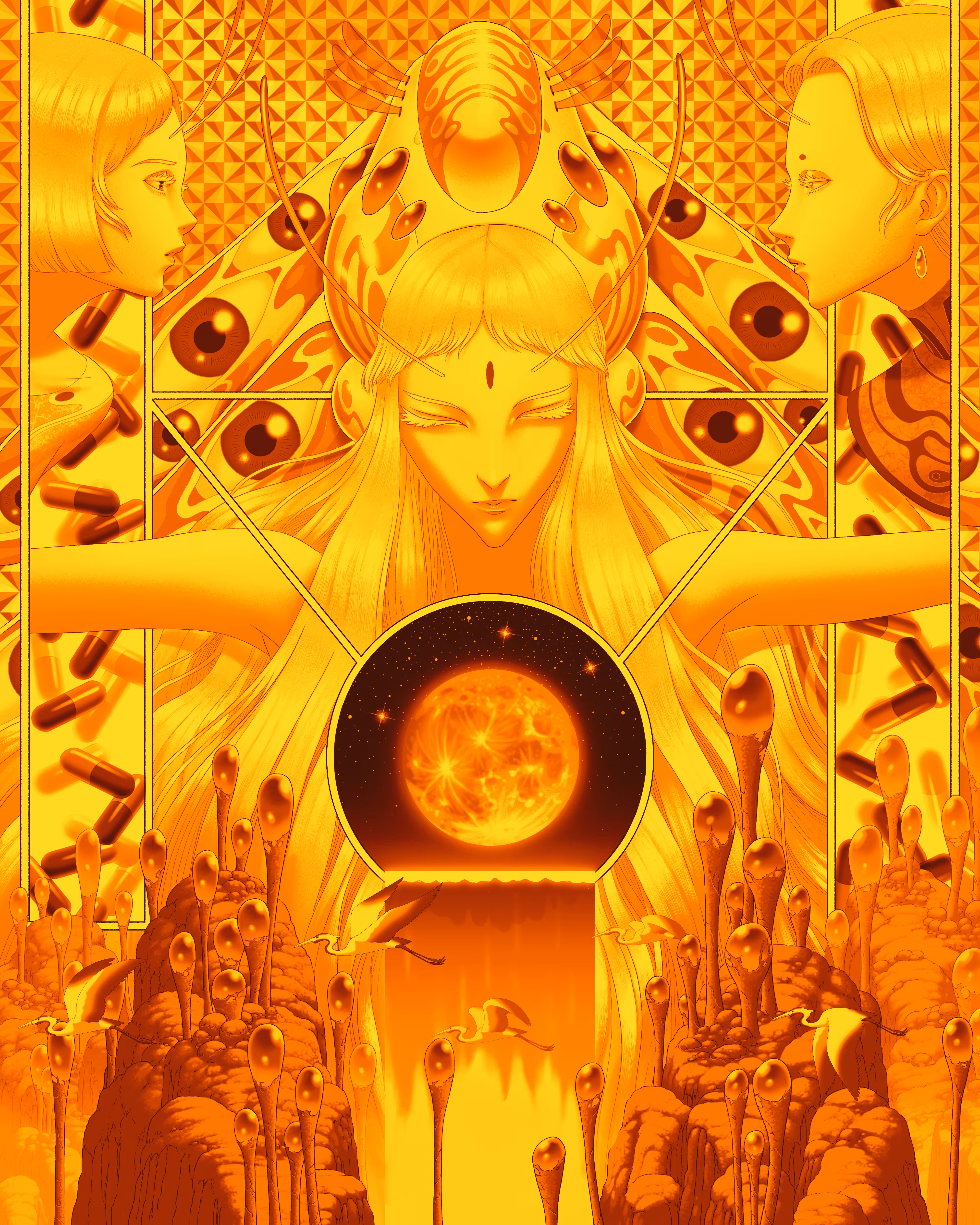 F∞UNDATI∞N GOLD