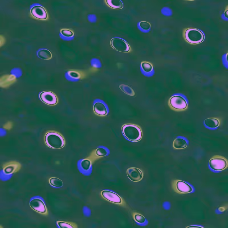 Mystery Blobs #6