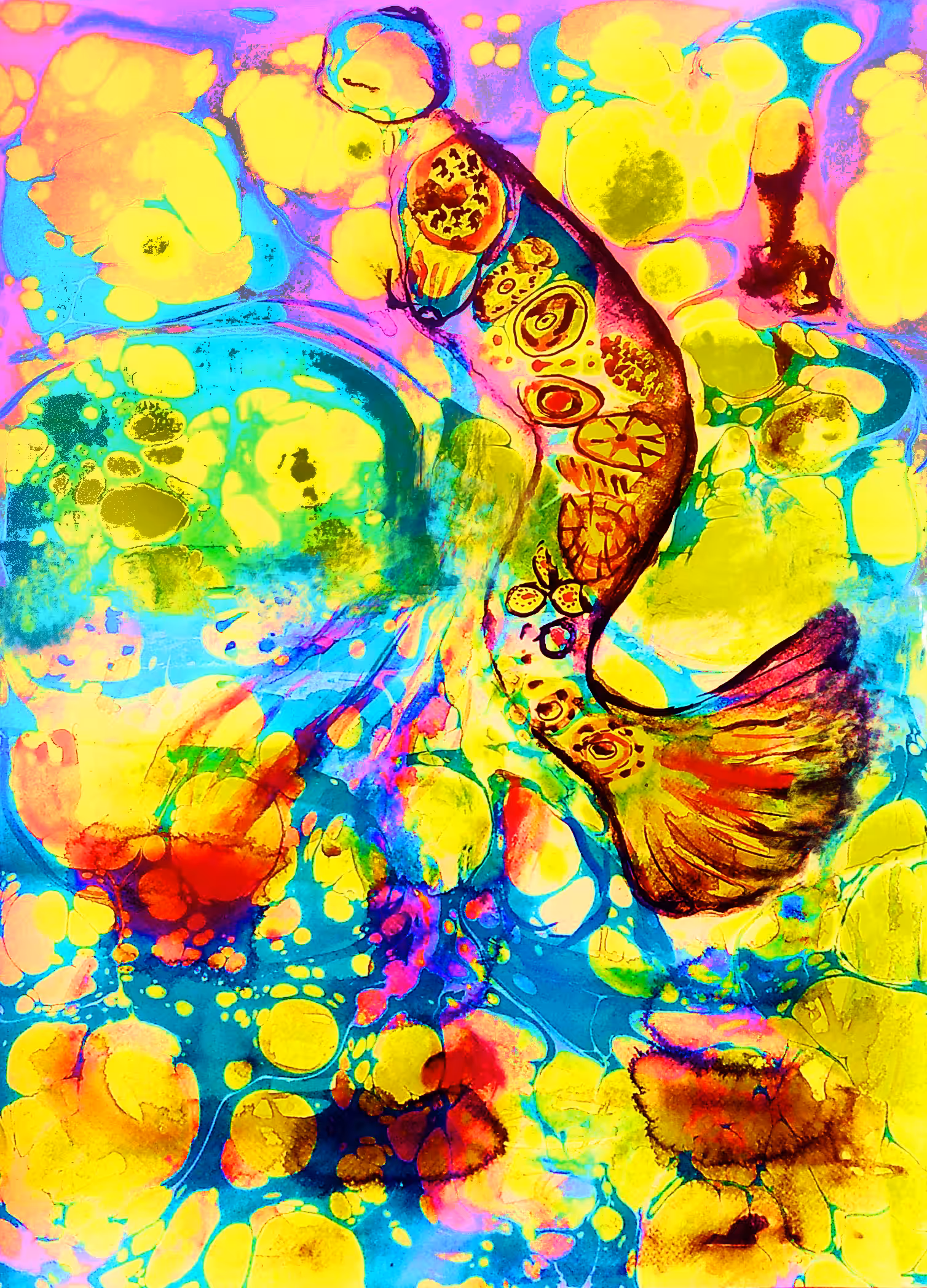 dreamer of colors