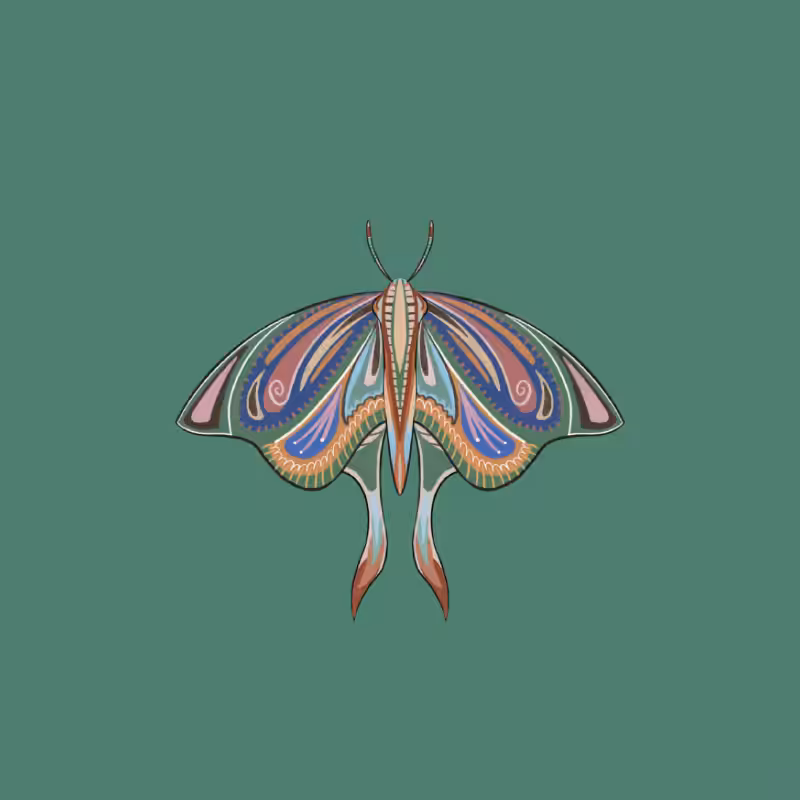 The Moth Experiment 2.0 P2 #19