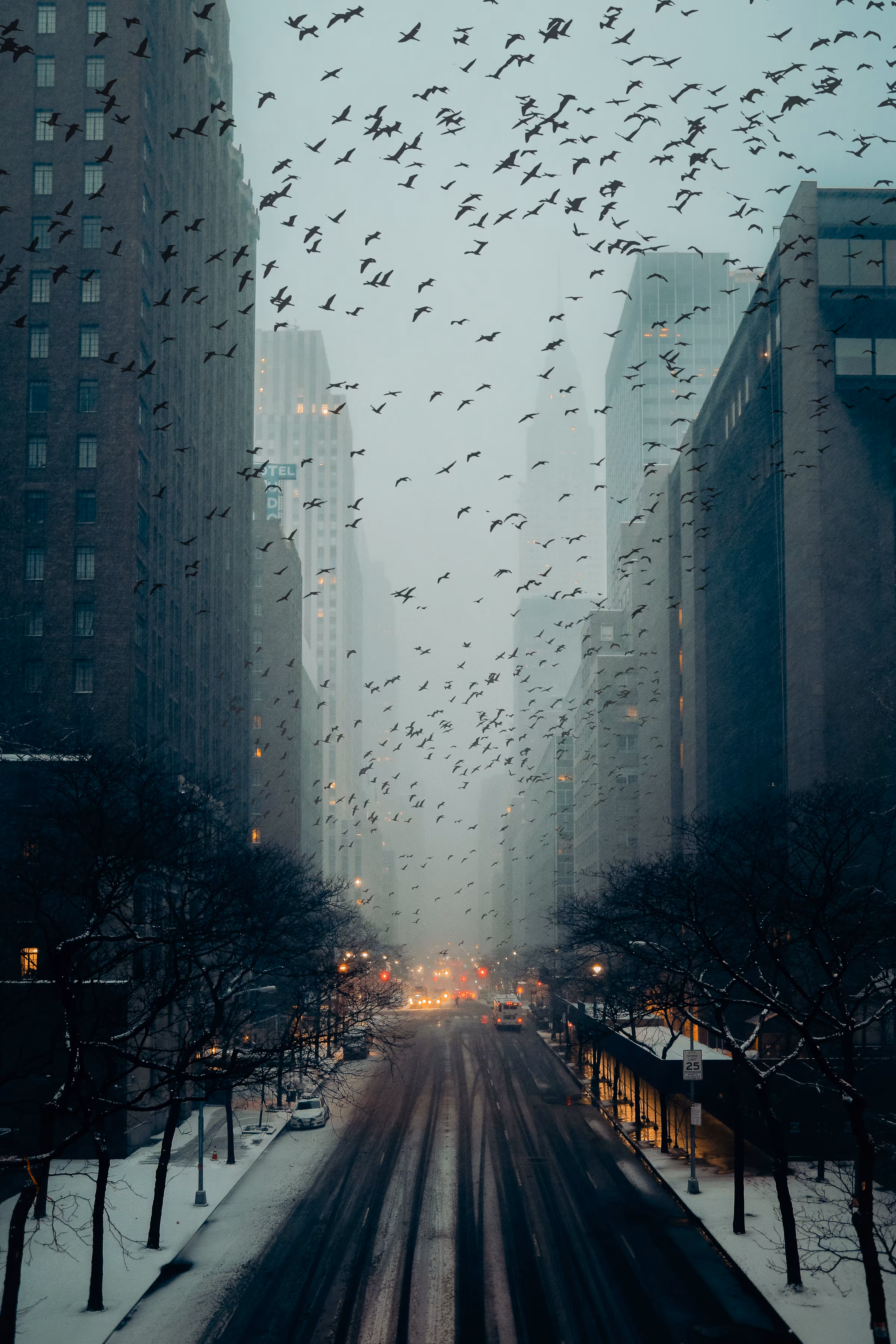 Dark Knight