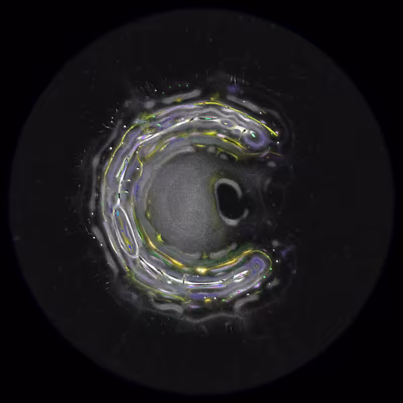 Ethereal Microcosm #218