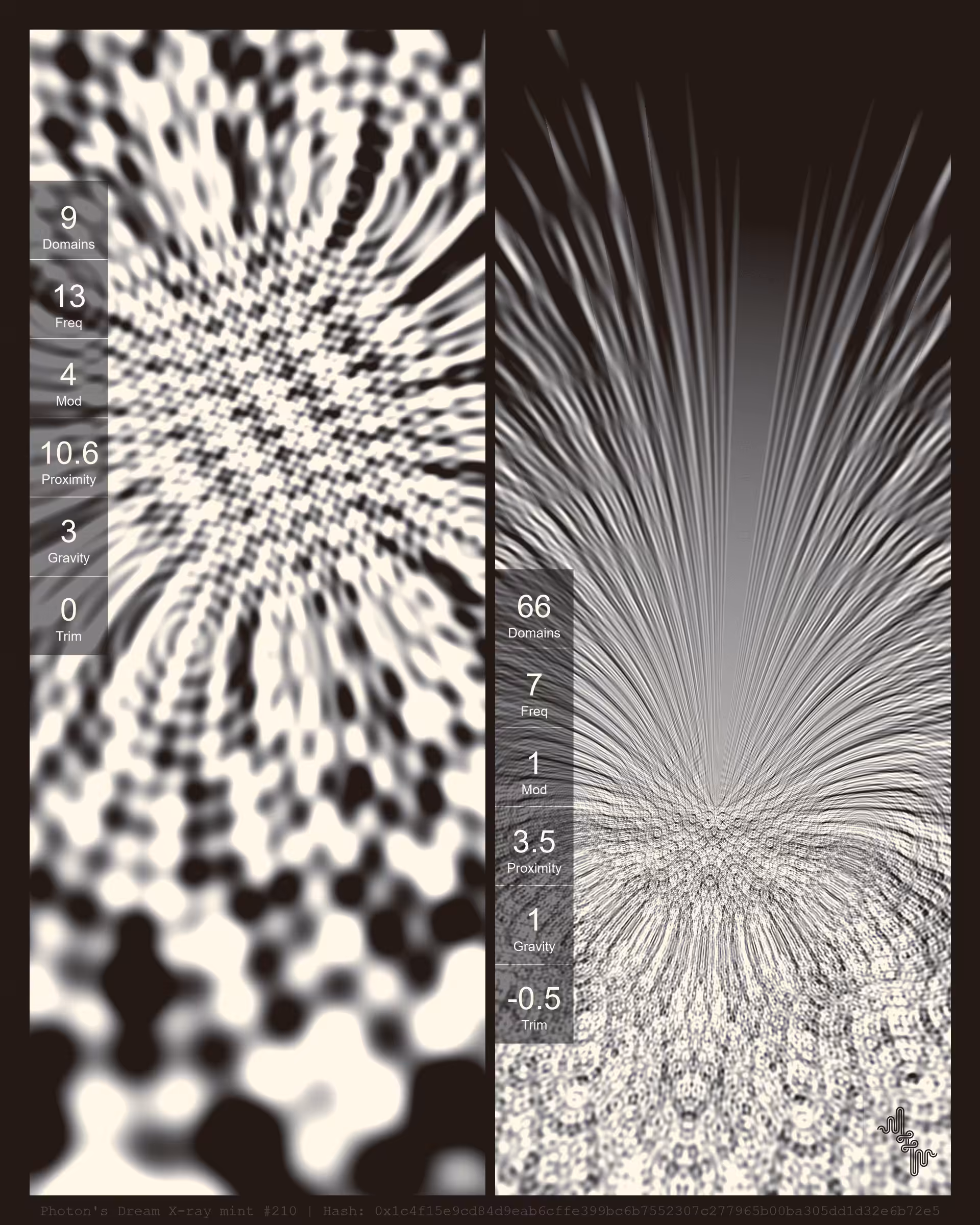 Photon's Dream X-ray mint#210
